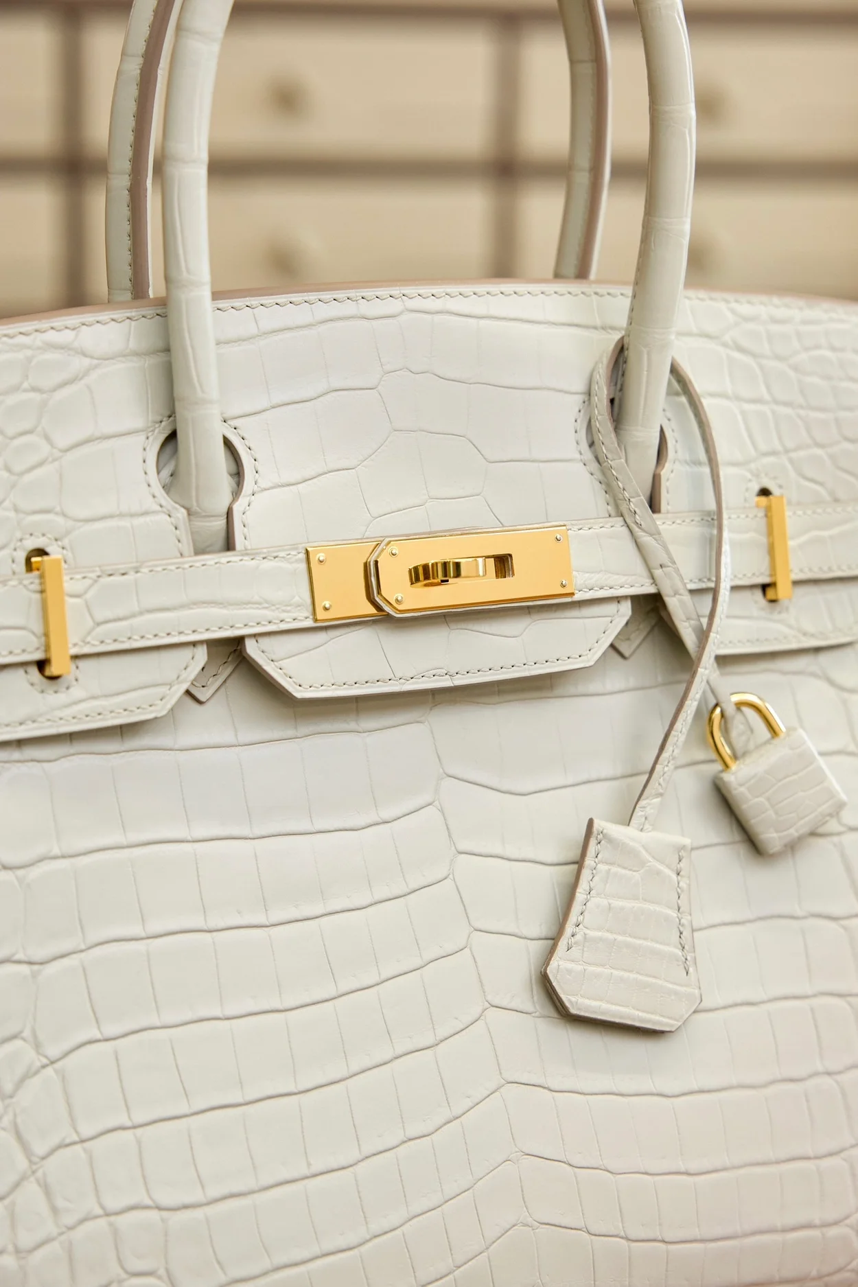 에르메스 버킨 25 르투르네 크로커다일 화이트 골드 하드웨어 (100% HAND MADE)