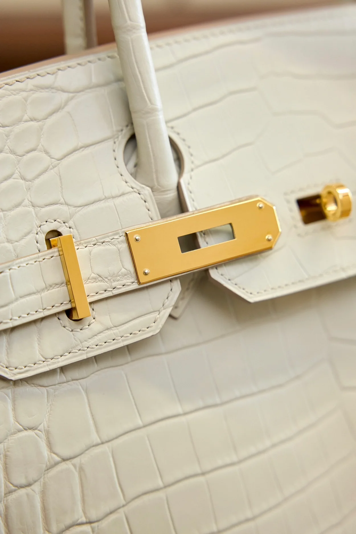 에르메스 버킨 25 르투르네 크로커다일 화이트 골드 하드웨어 (100% HAND MADE)