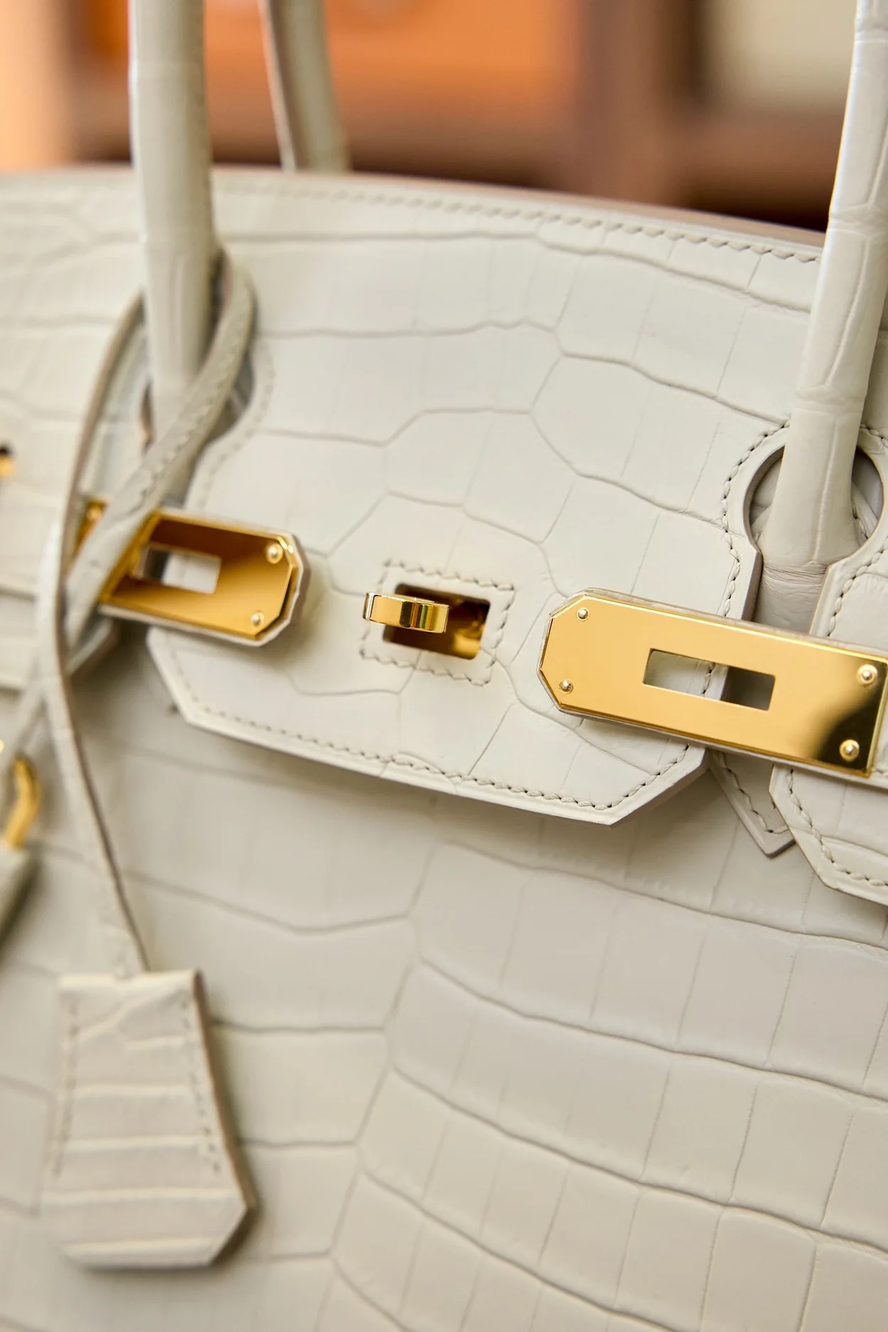 에르메스 버킨 25 르투르네 크로커다일 화이트 골드 하드웨어 (100% HAND MADE)