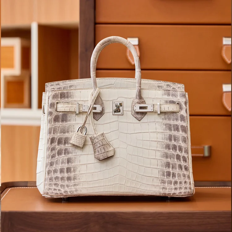 에르메스 버킨 25 르투르네 닐로티커스 히말라야 크로커다일 실버 하드웨어 (100% HAND MADE)