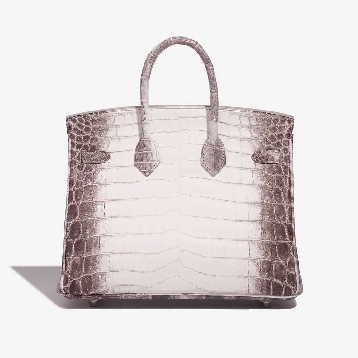에르메스 버킨 25 르투르네 닐로티커스 히말라야 크로커다일 실버 하드웨어 (100% HAND MADE)