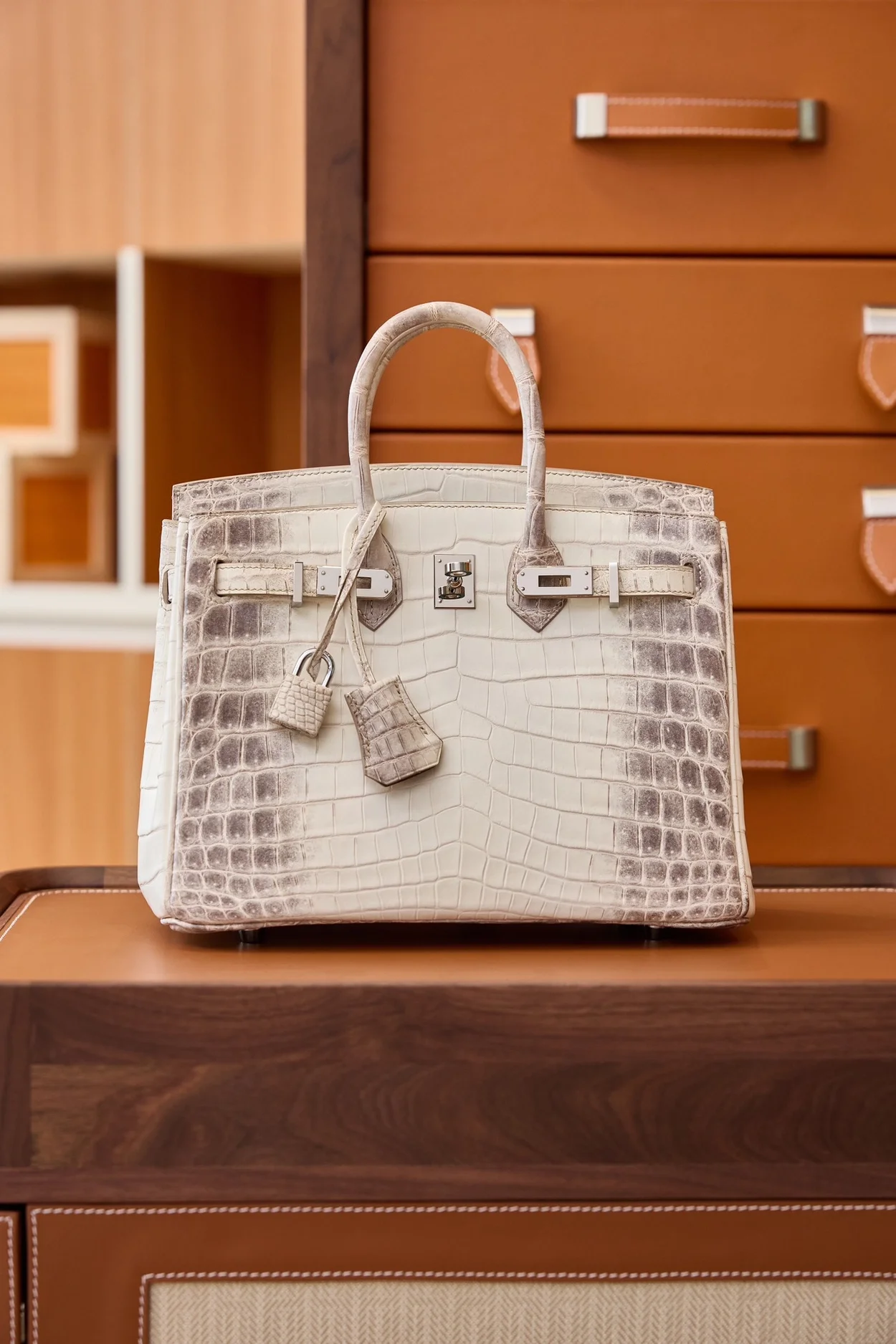 에르메스 버킨 25 르투르네 닐로티커스 히말라야 크로커다일 실버 하드웨어 (100% HAND MADE)