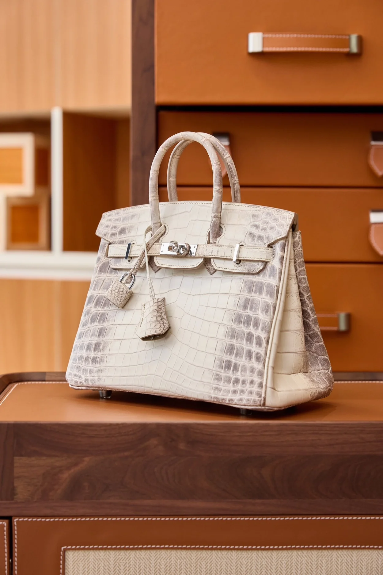 에르메스 버킨 25 르투르네 닐로티커스 히말라야 크로커다일 실버 하드웨어 (100% HAND MADE)