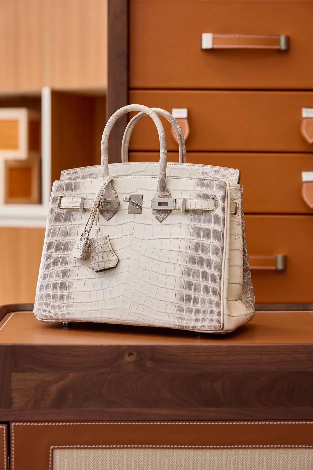 에르메스 버킨 25 르투르네 닐로티커스 히말라야 크로커다일 실버 하드웨어 (100% HAND MADE)