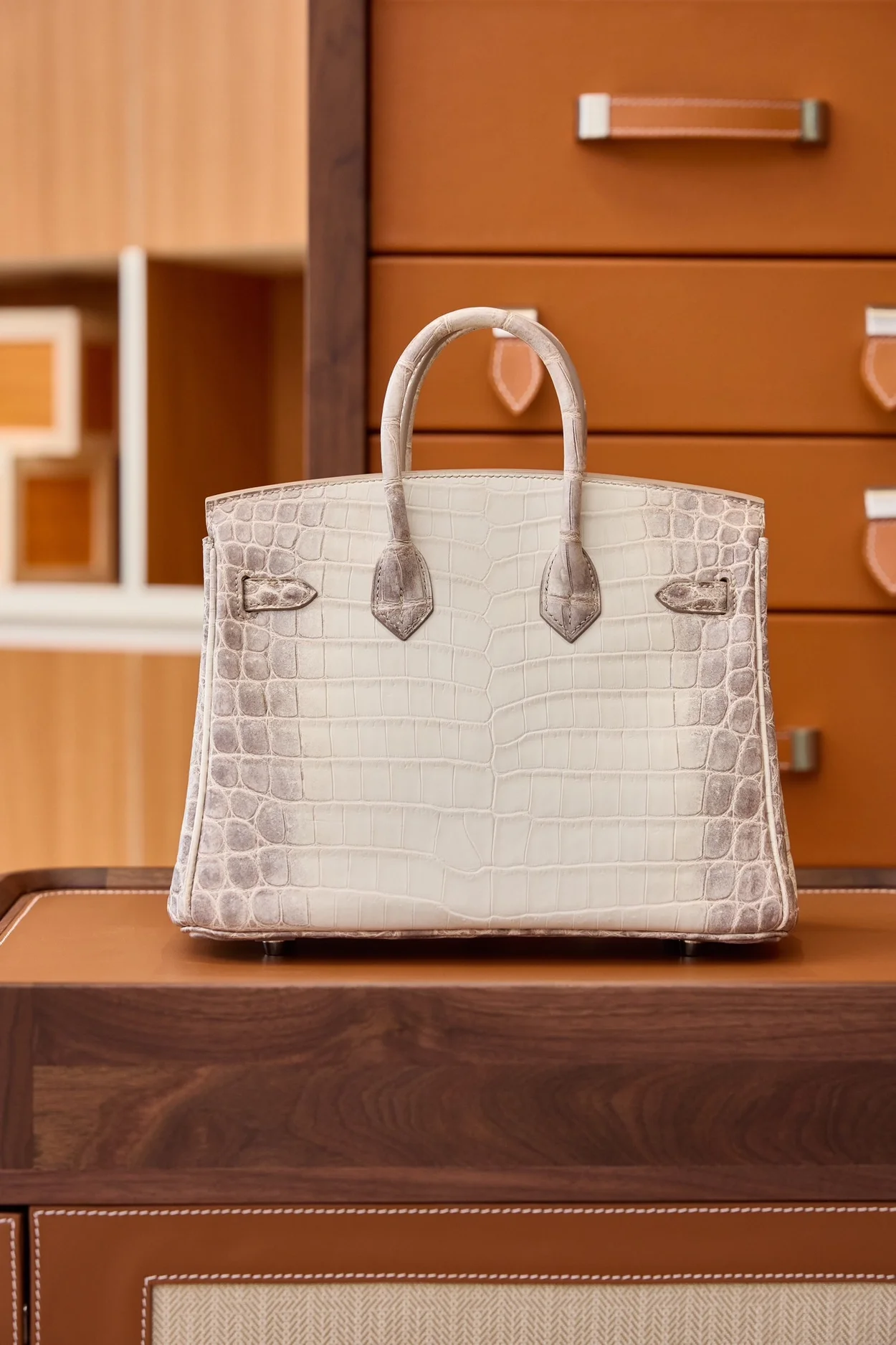 에르메스 버킨 25 르투르네 닐로티커스 히말라야 크로커다일 실버 하드웨어 (100% HAND MADE)