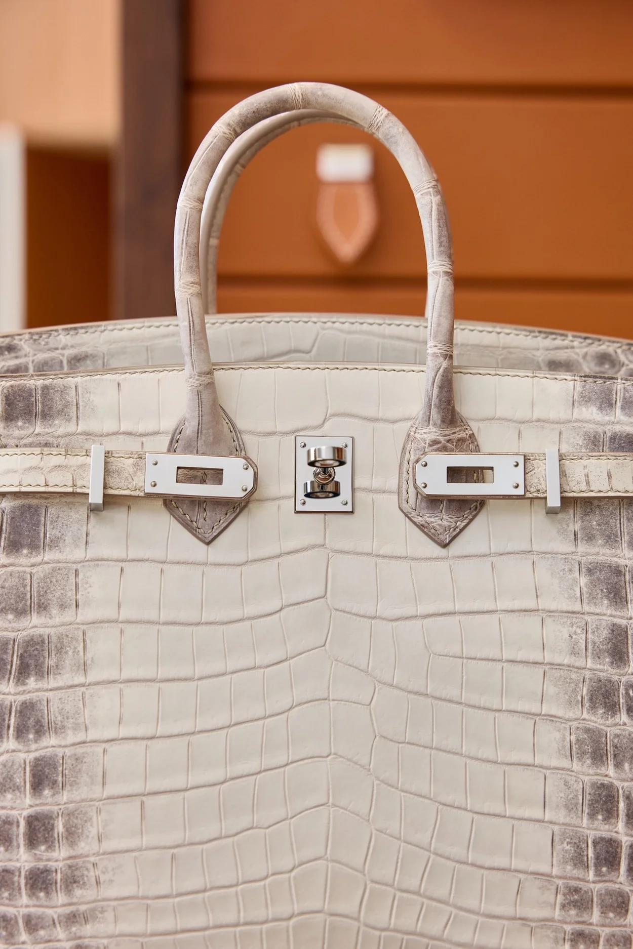 에르메스 버킨 25 르투르네 닐로티커스 히말라야 크로커다일 실버 하드웨어 (100% HAND MADE)