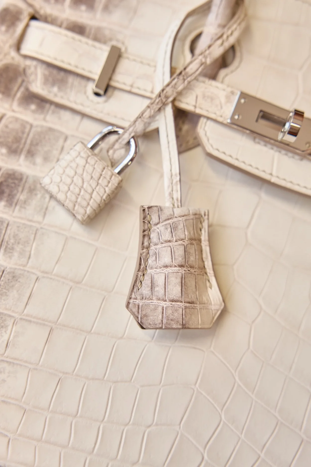 에르메스 버킨 25 르투르네 닐로티커스 히말라야 크로커다일 실버 하드웨어 (100% HAND MADE)