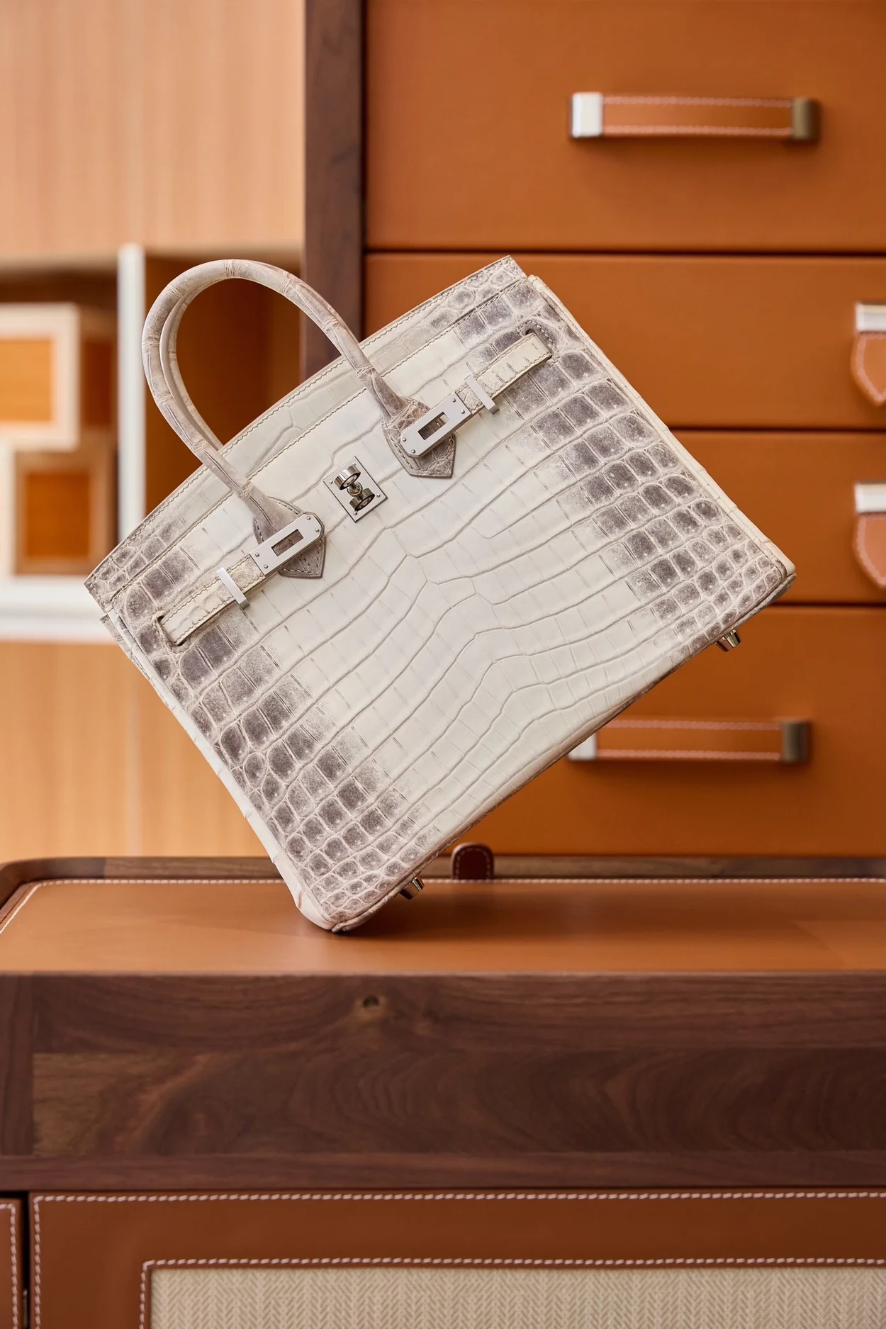 에르메스 버킨 25 르투르네 닐로티커스 히말라야 크로커다일 실버 하드웨어 (100% HAND MADE)