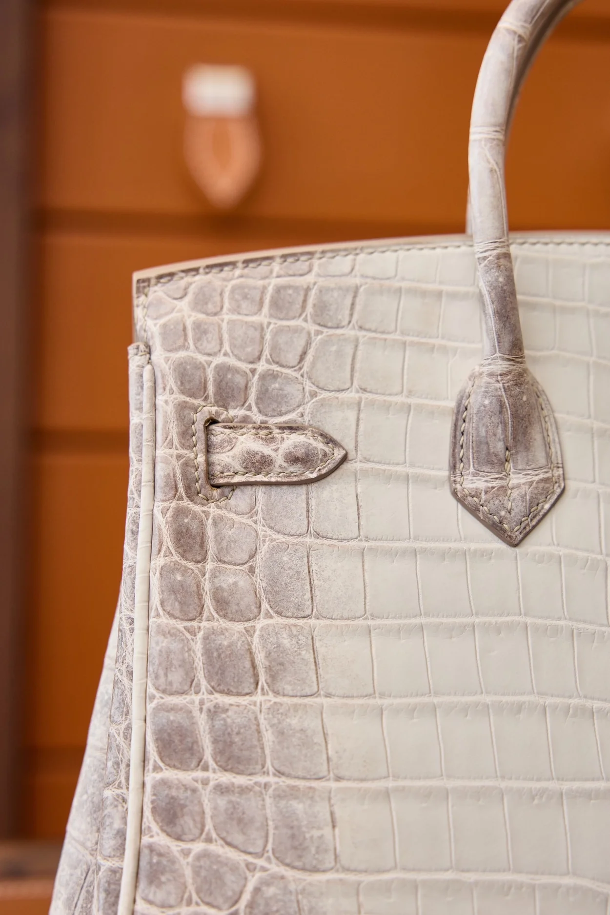 에르메스 버킨 25 르투르네 닐로티커스 히말라야 크로커다일 실버 하드웨어 (100% HAND MADE)