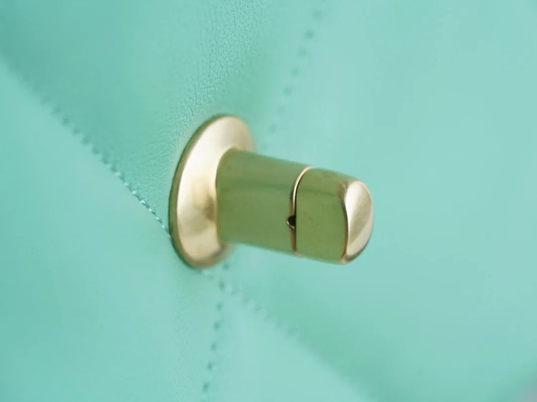 샤넬 19백 미디엄(스몰) 골드 체인 램스킨 민트