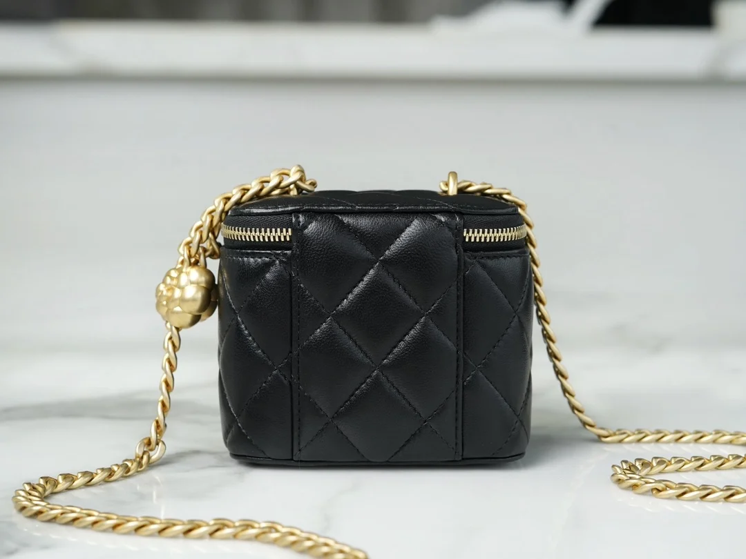 샤넬 미니 퍼펙트 핏 베니티 케이스