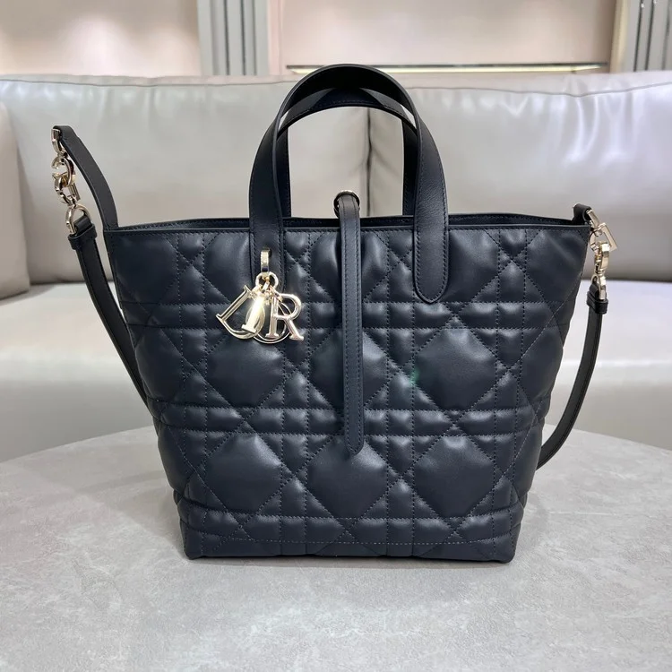 디올 뚜주흐백 23