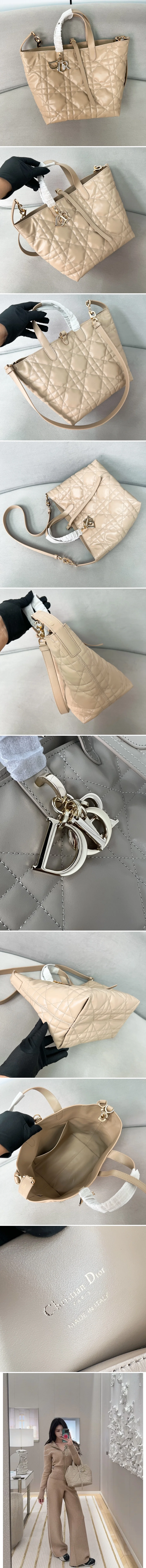 디올 뚜주흐백 23