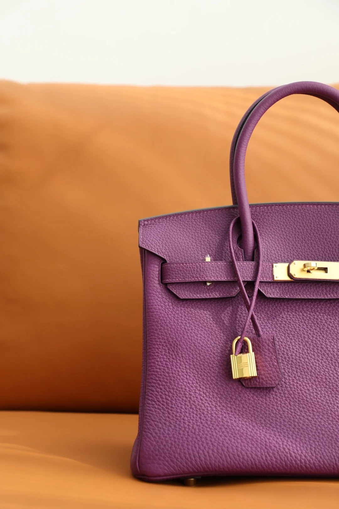 에르메스 버킨 30 Anemone 토고 백