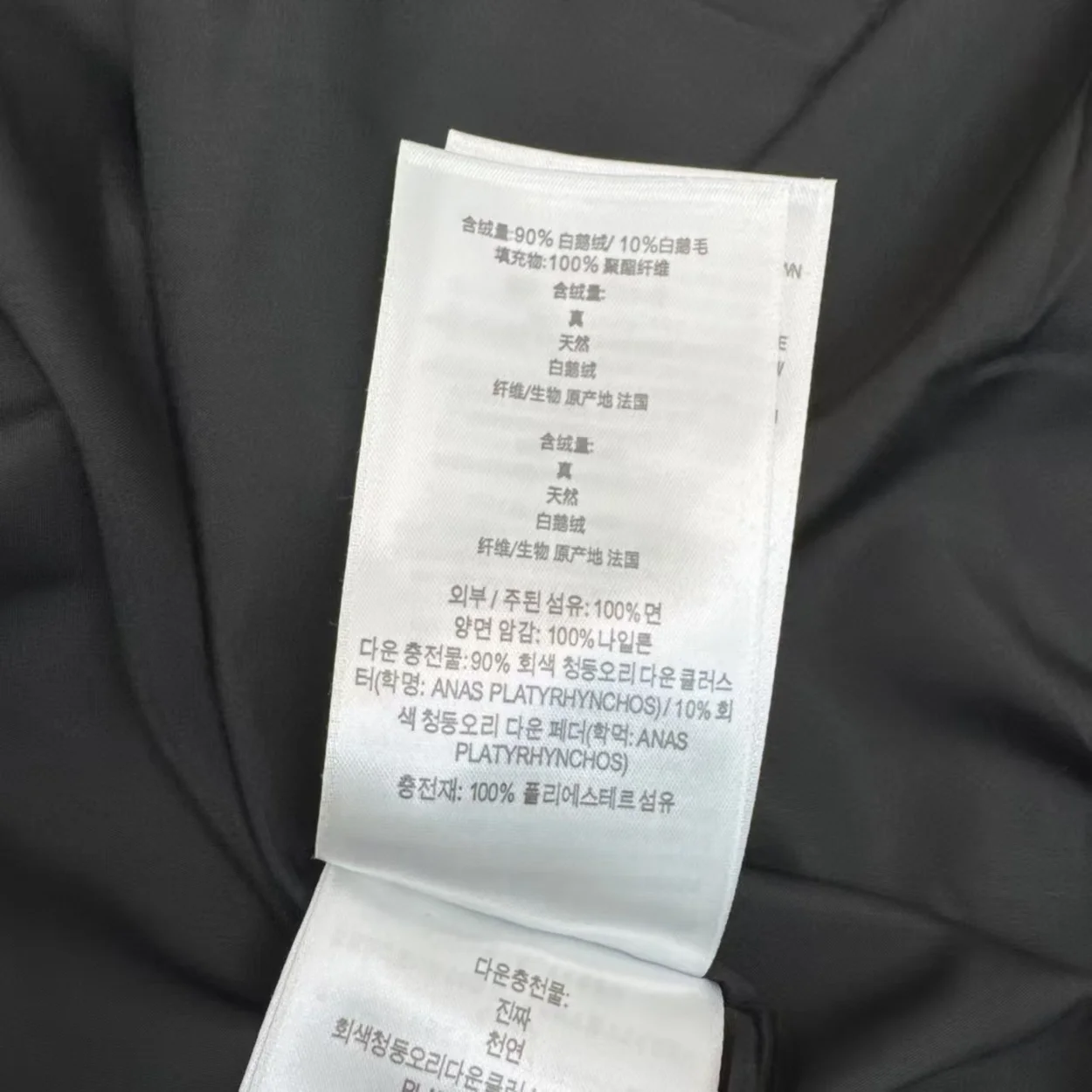 버버리 25FW 다운 패딩 최신상