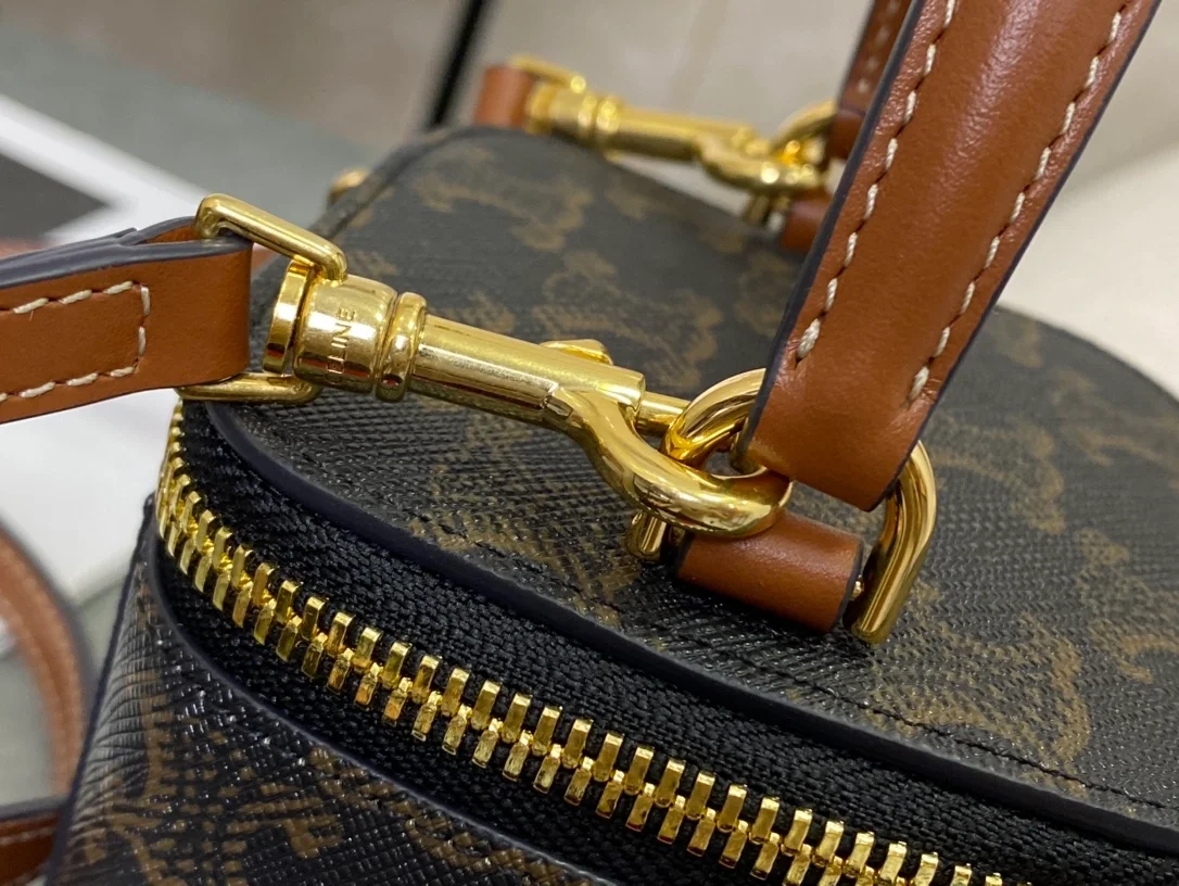 셀린느 트리옹프 캔버스 & 카프스킨 미니 베니티 케이스 탄