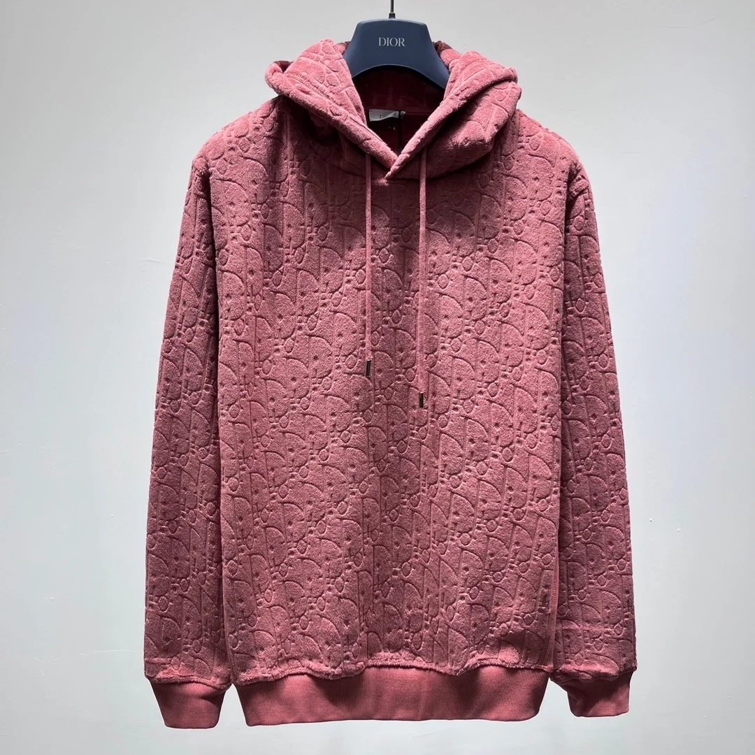 디올 오블리크 스웨이드 후드