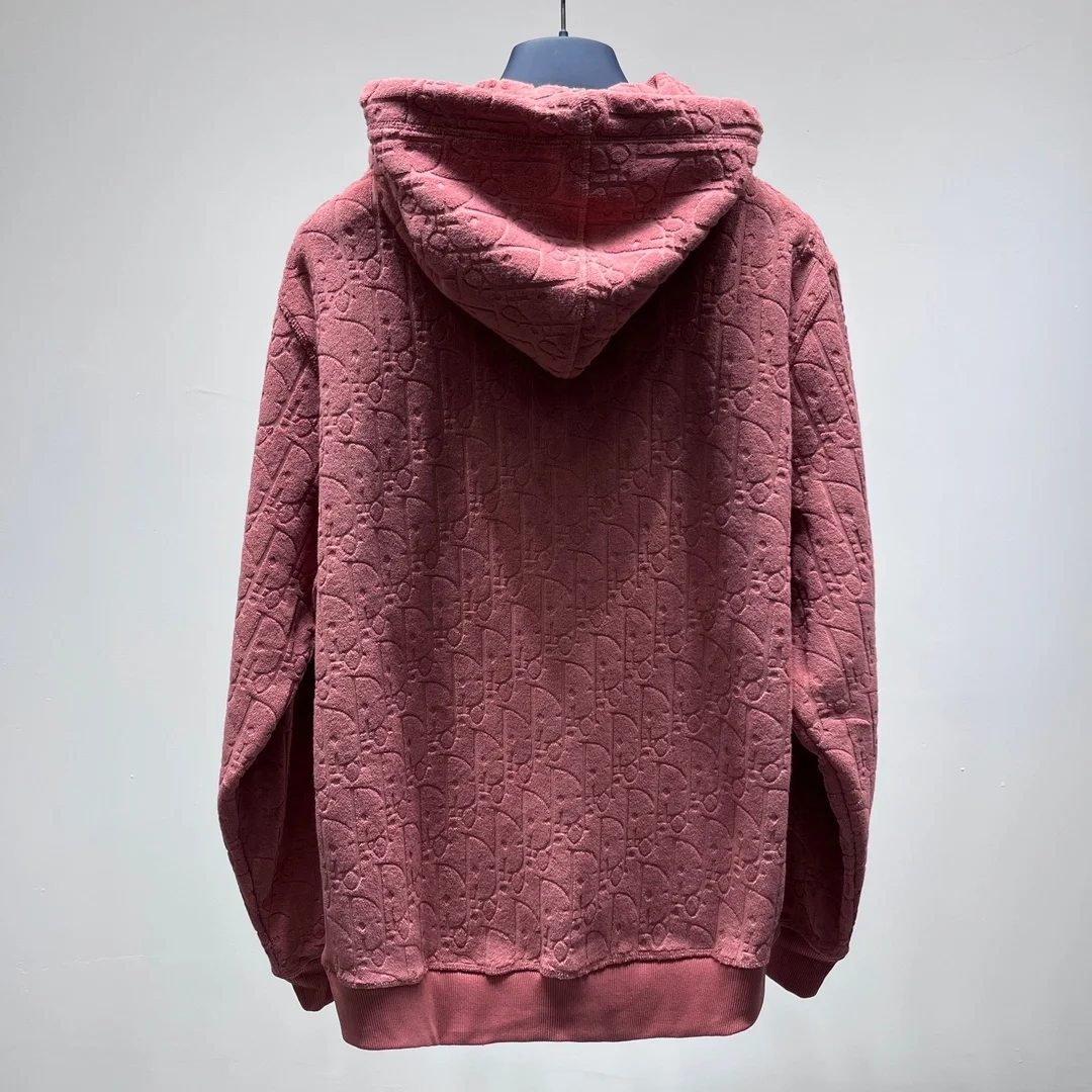 디올 오블리크 스웨이드 후드