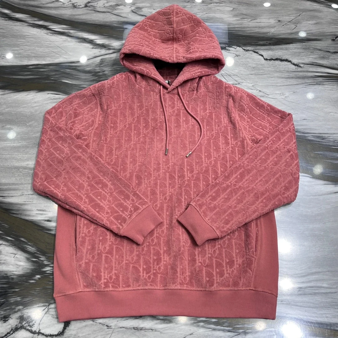 디올 오블리크 스웨이드 후드