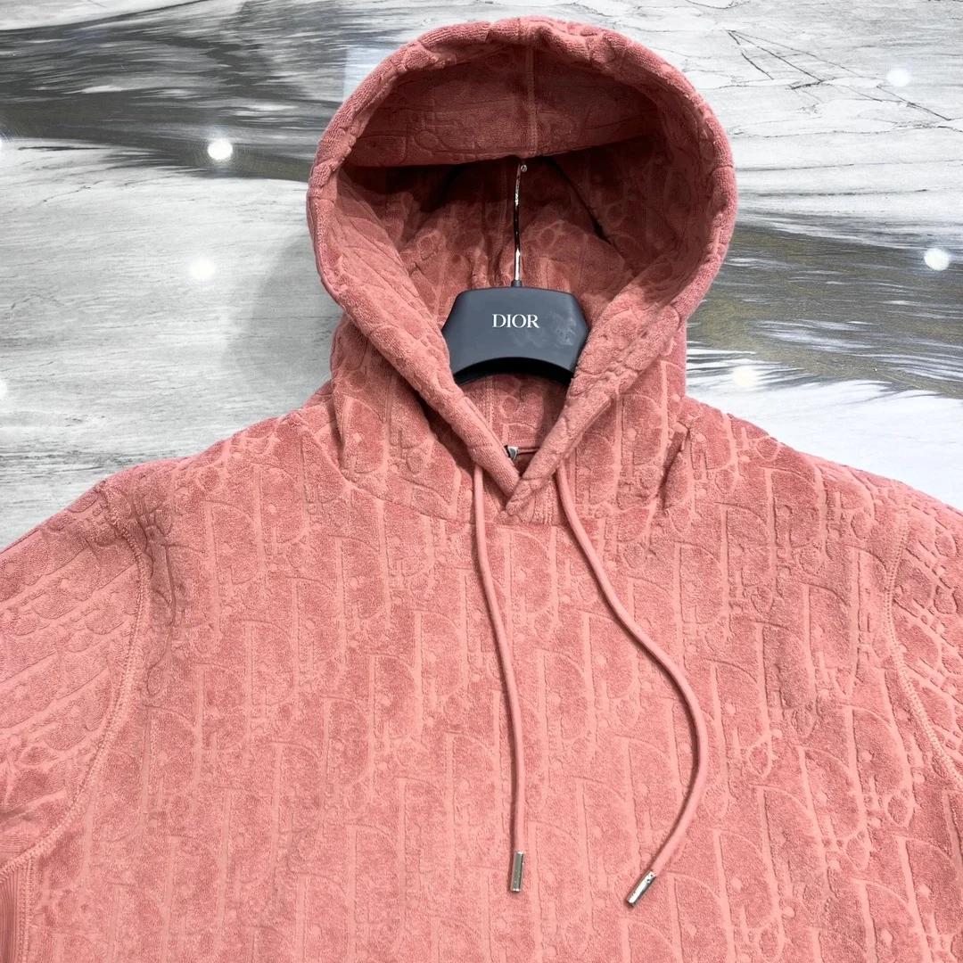 디올 오블리크 스웨이드 후드