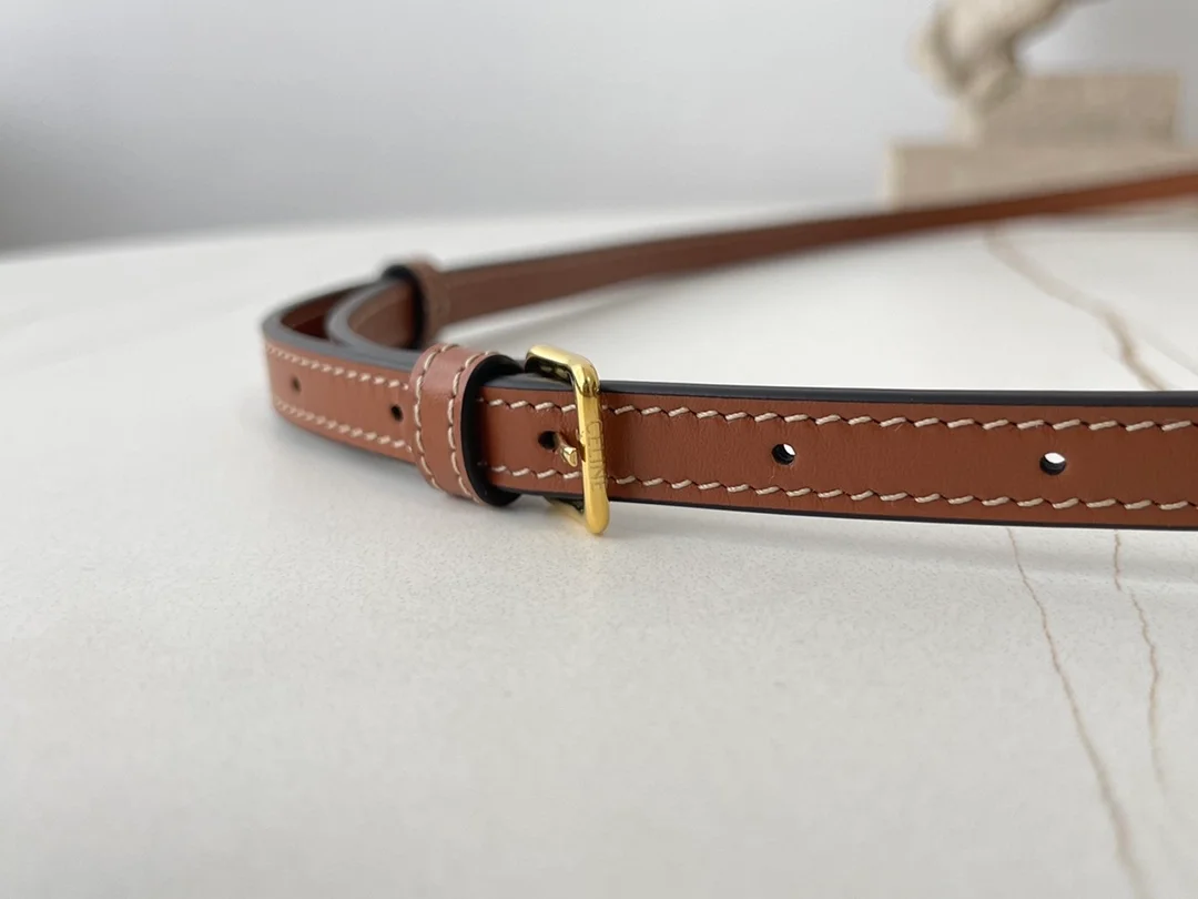 셀린느 엔벨로프 트리옹프 백 탠