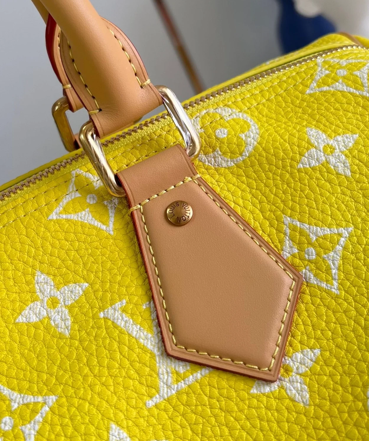 루이비통 스피디 P9 반둘리에 40 M24419