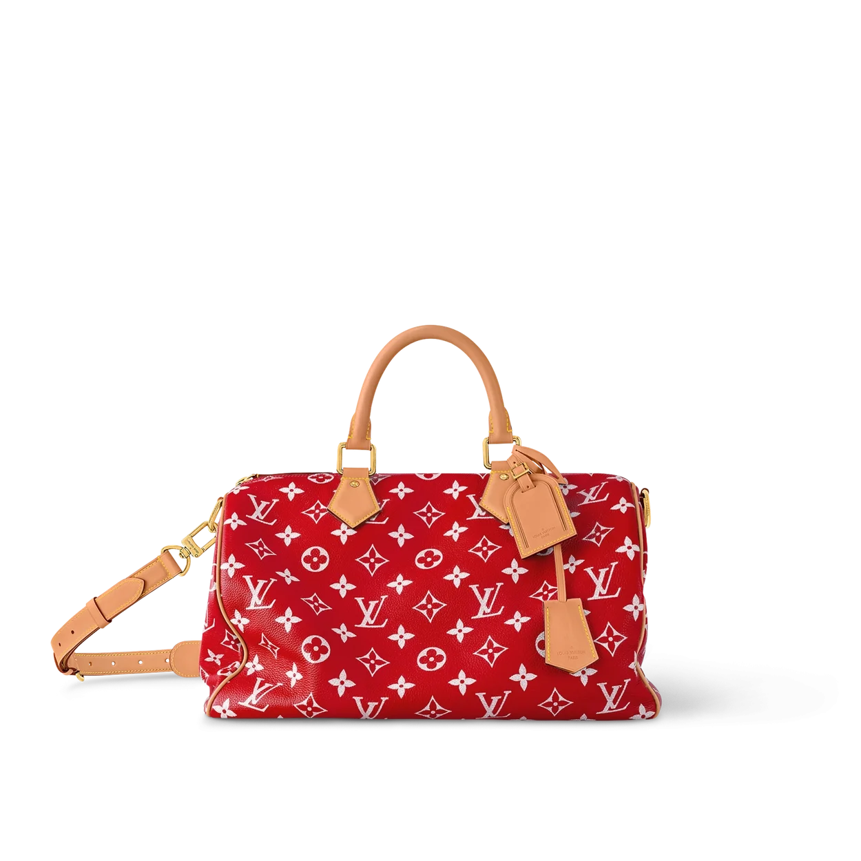 루이비통 런웨이 스피디 P9 반둘리에 40 M24420