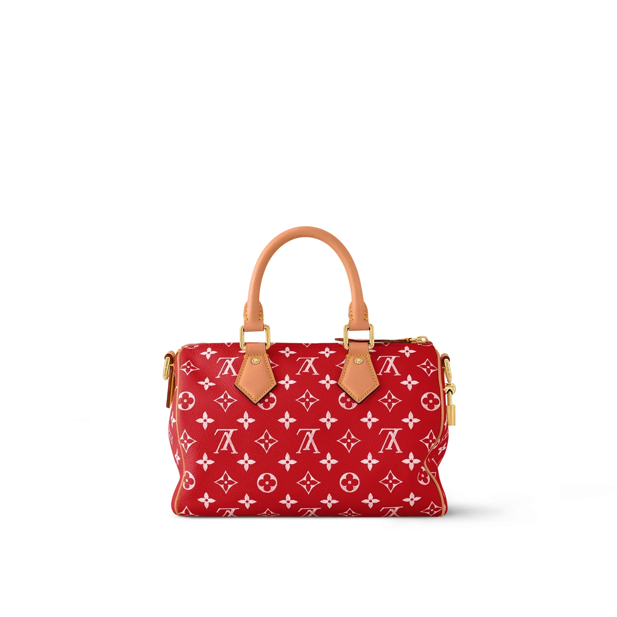 루이비통 런웨이 스피디 P9 반둘리에 25 M24425