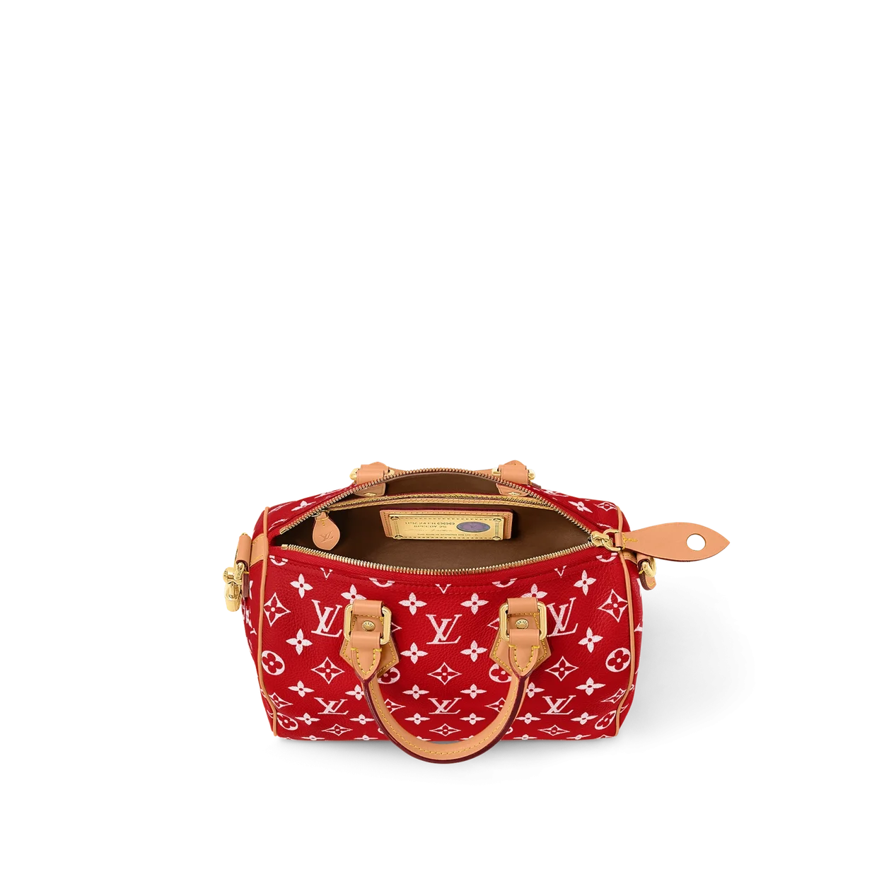 루이비통 런웨이 스피디 P9 반둘리에 25 M24425