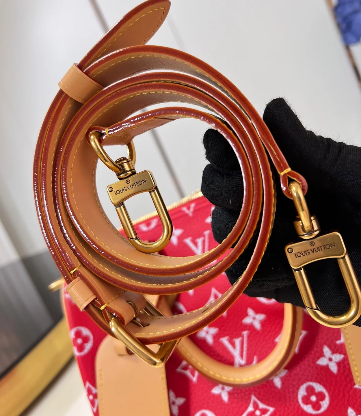 루이비통 런웨이 스피디 P9 반둘리에 25 M24425