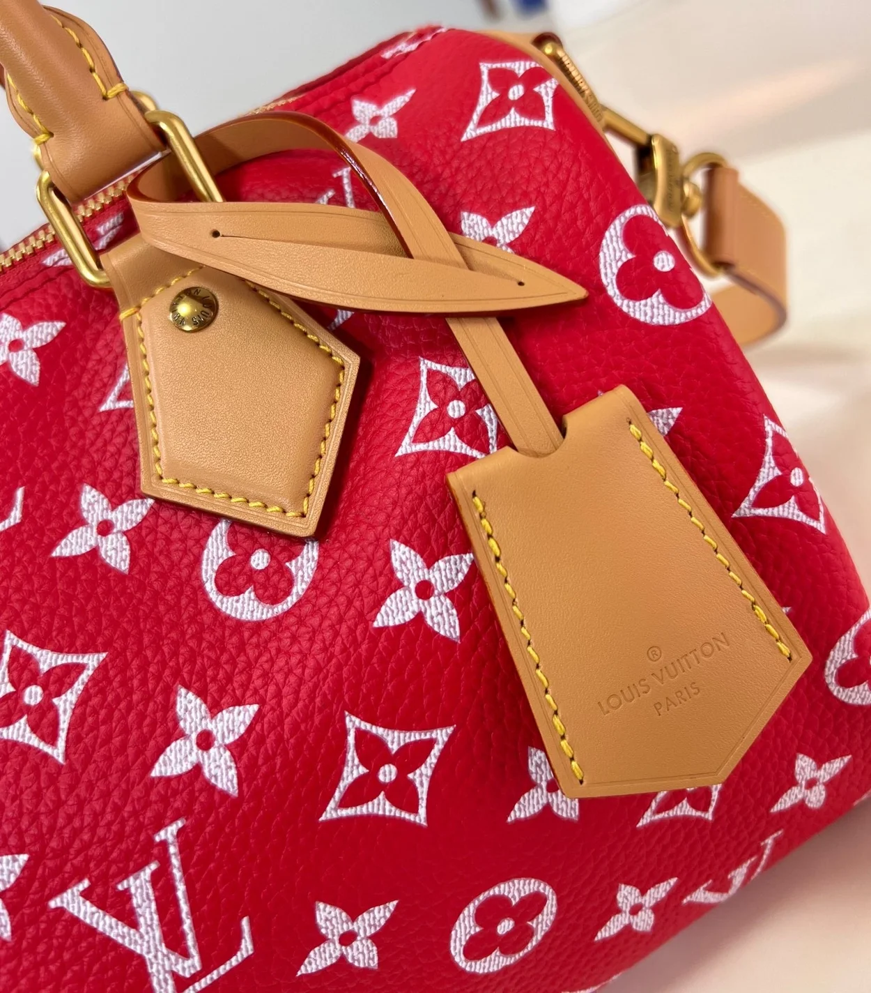 루이비통 런웨이 스피디 P9 반둘리에 25 M24425