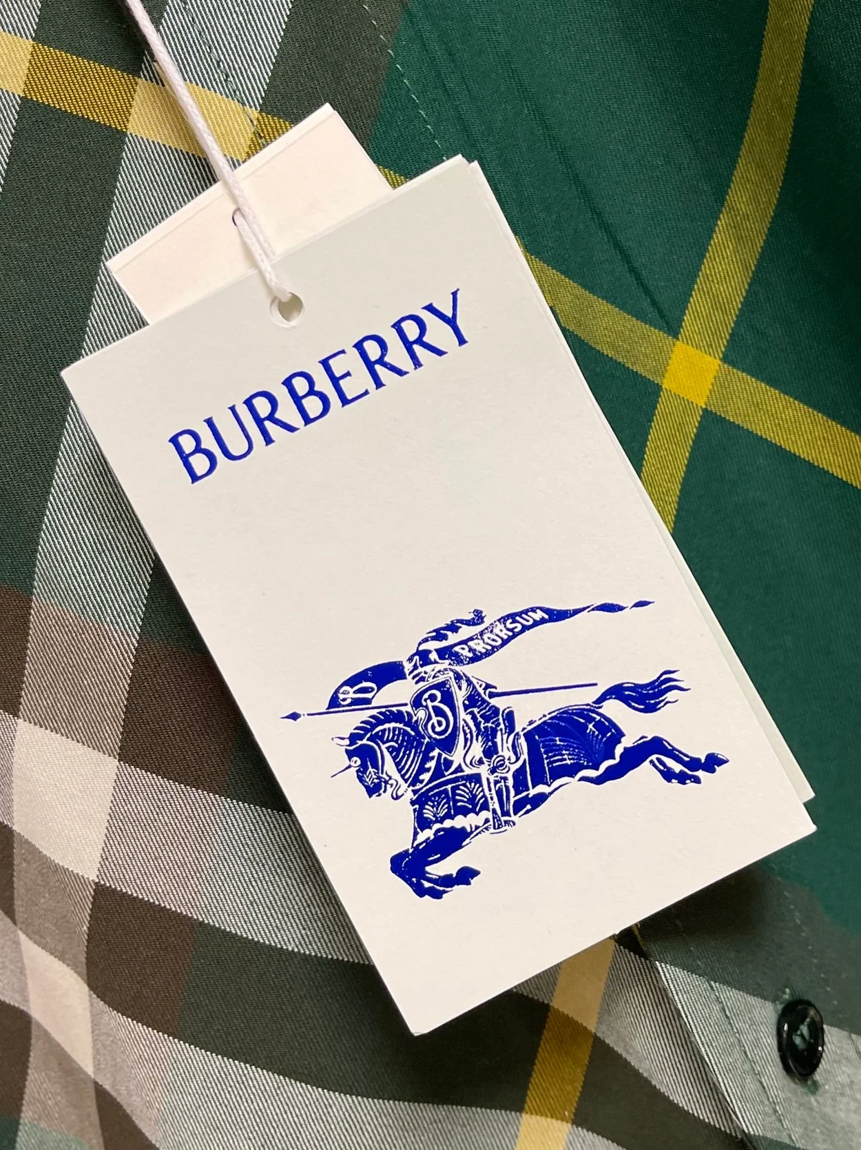 버버리 체크 코튼 셔츠 그린