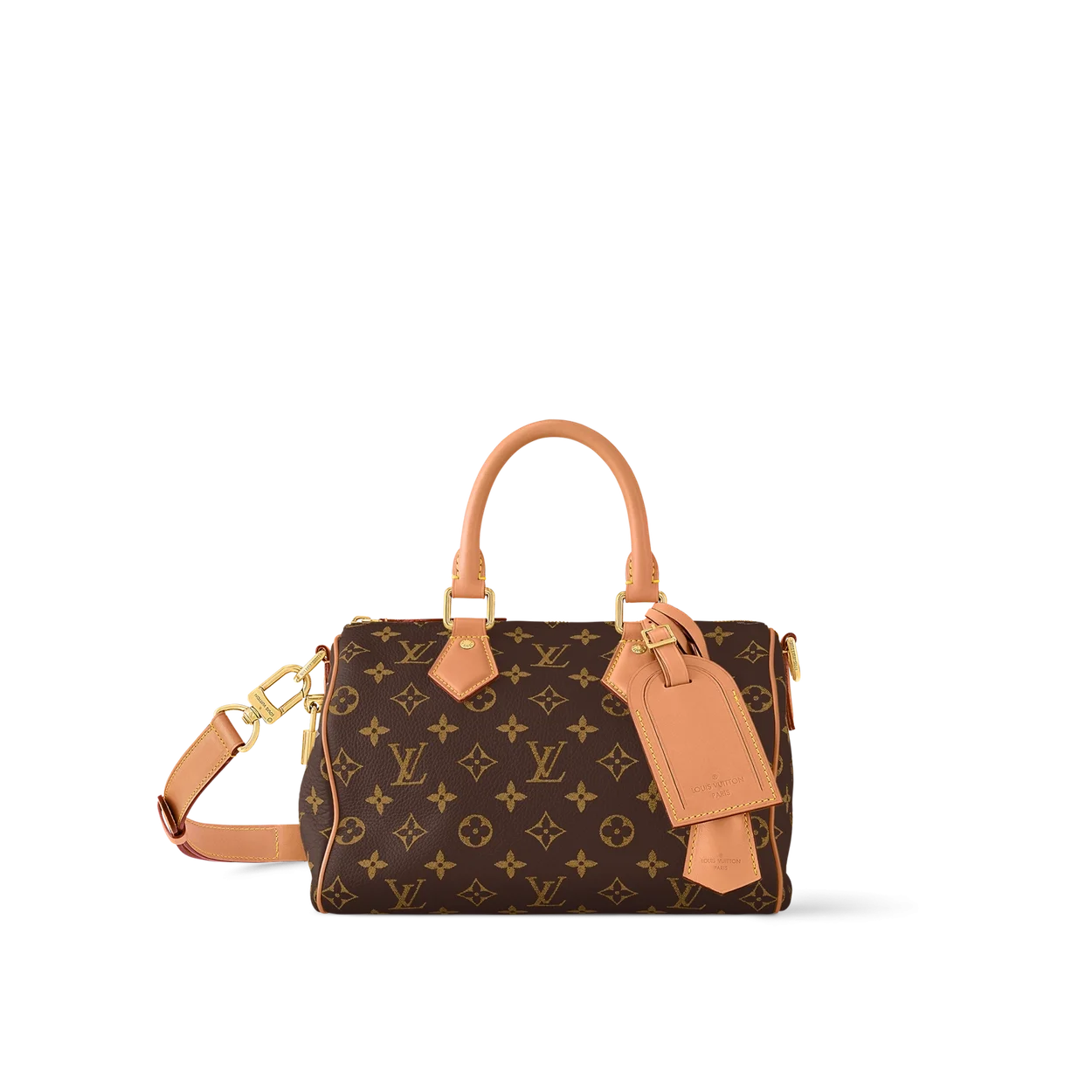 루이비통 런웨이 스피디 P9 반둘리에 25 M24443