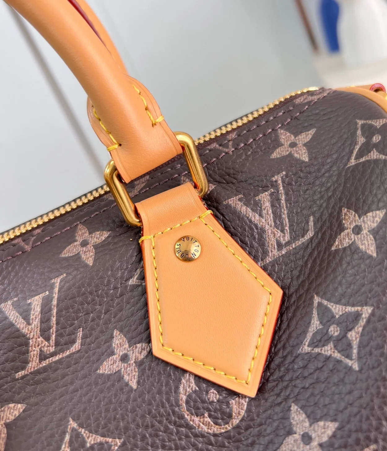 루이비통 런웨이 스피디 P9 반둘리에 25 M24443