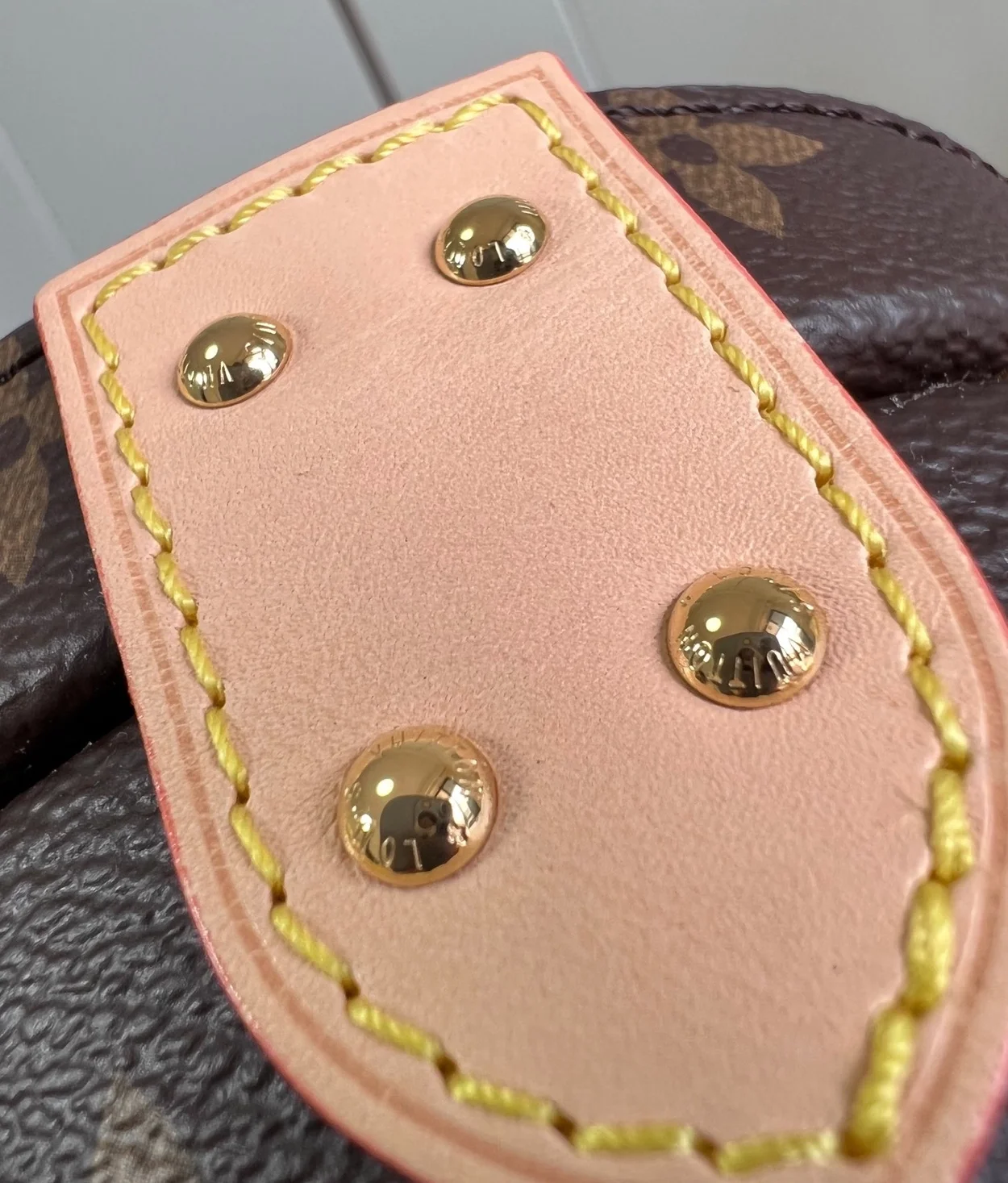 루이비통 스콧 모노그램 캔버스 M46933