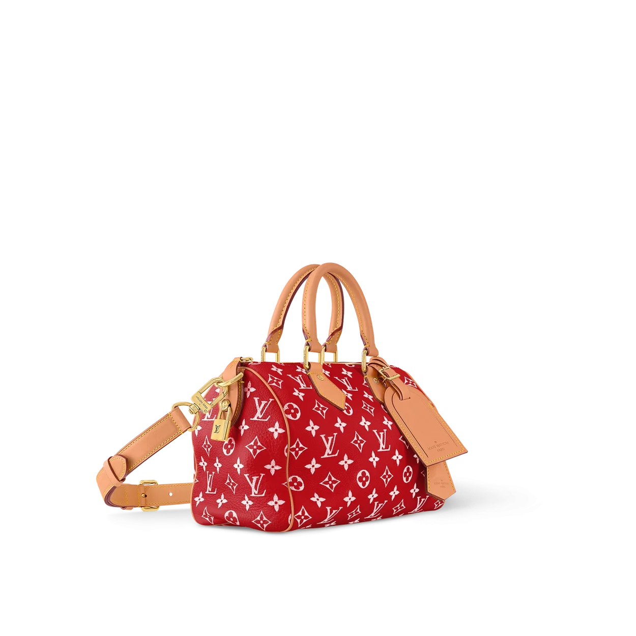 루이비통 런웨이 스피디 P9 반둘리에 25 M24425