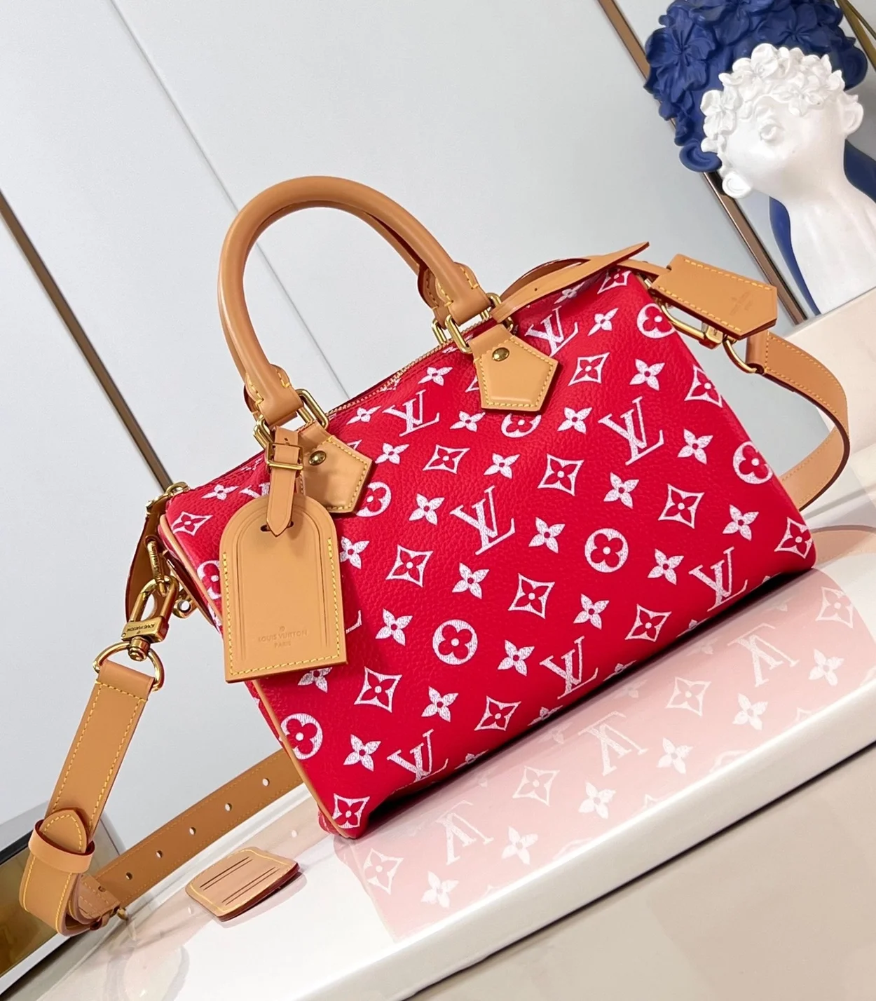 루이비통 런웨이 스피디 P9 반둘리에 25 M24425