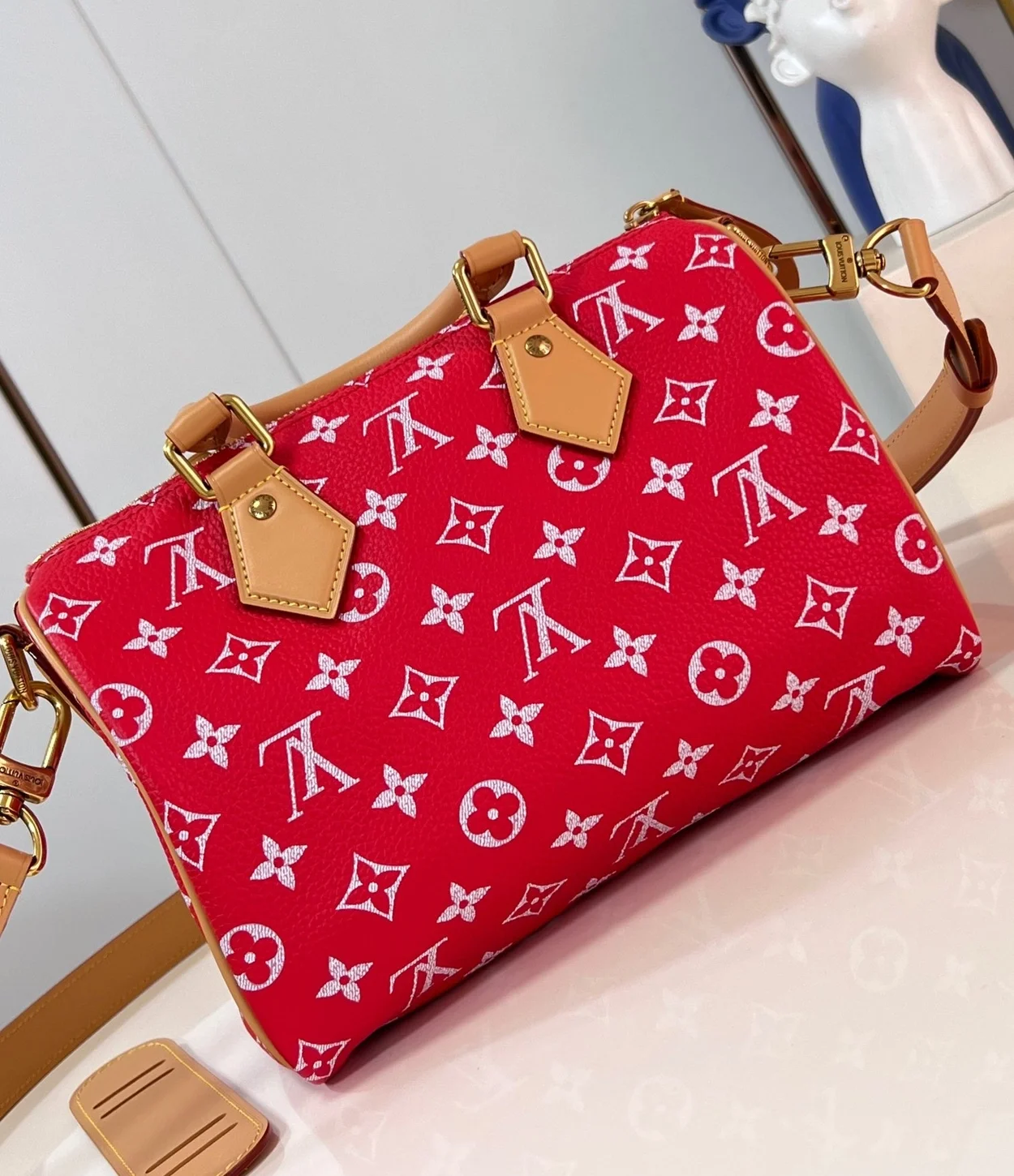 루이비통 런웨이 스피디 P9 반둘리에 25 M24425