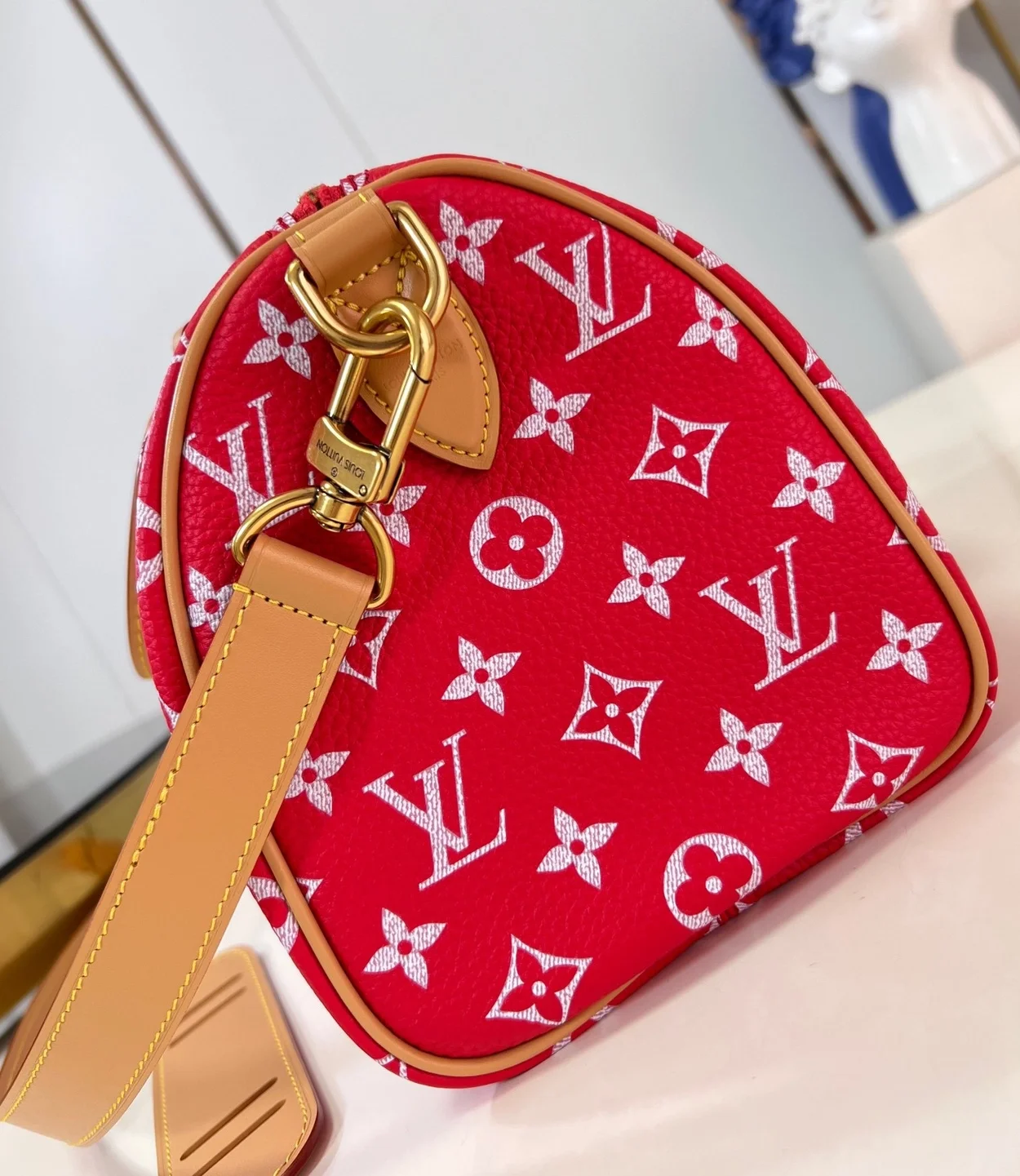 루이비통 런웨이 스피디 P9 반둘리에 25 M24425