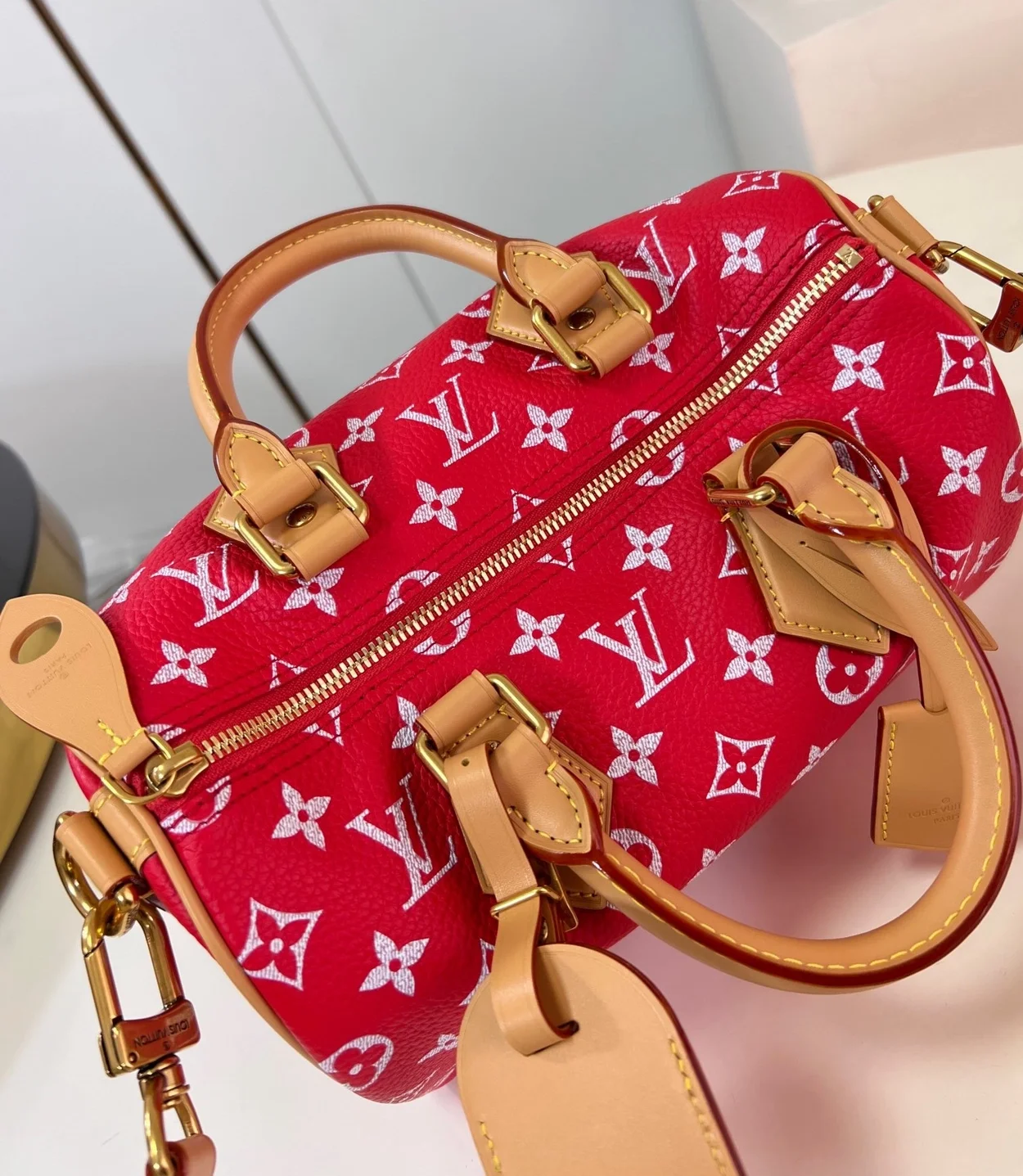 루이비통 런웨이 스피디 P9 반둘리에 25 M24425