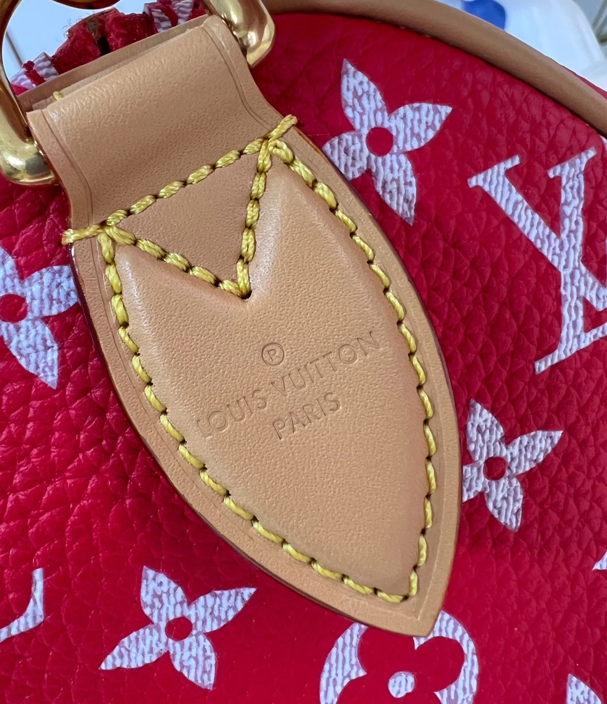 루이비통 런웨이 스피디 P9 반둘리에 25 M24425