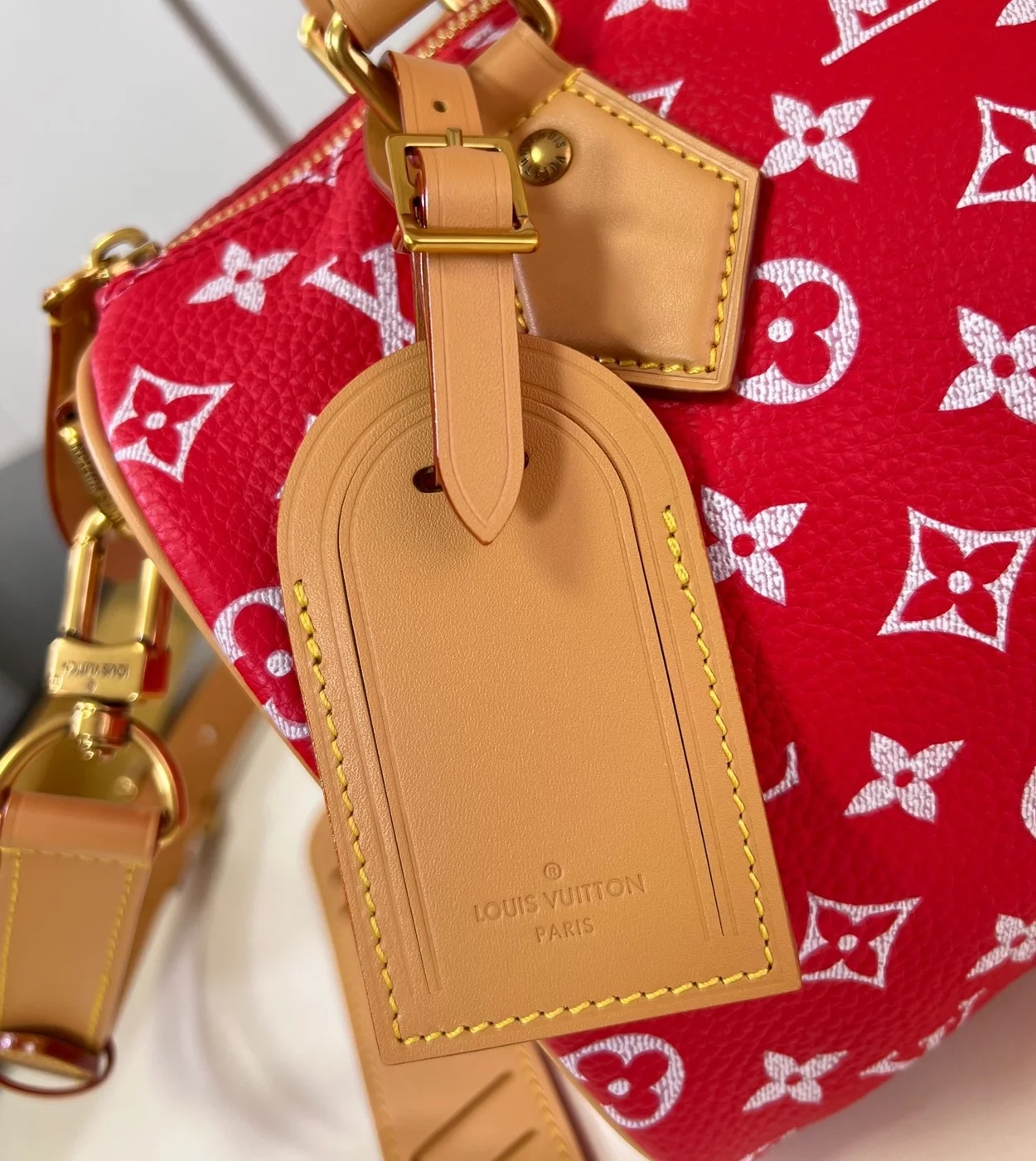 루이비통 런웨이 스피디 P9 반둘리에 25 M24425