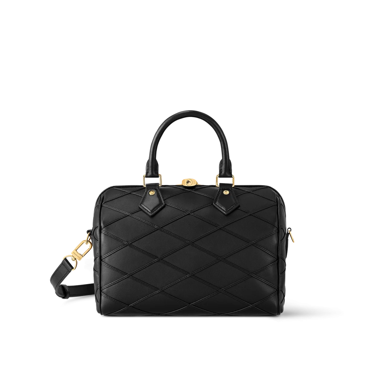 루이비통 스피디 반둘리에 25 M24206