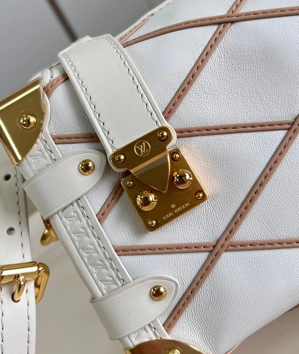 루이비통 사이드 트렁크 PM M25216