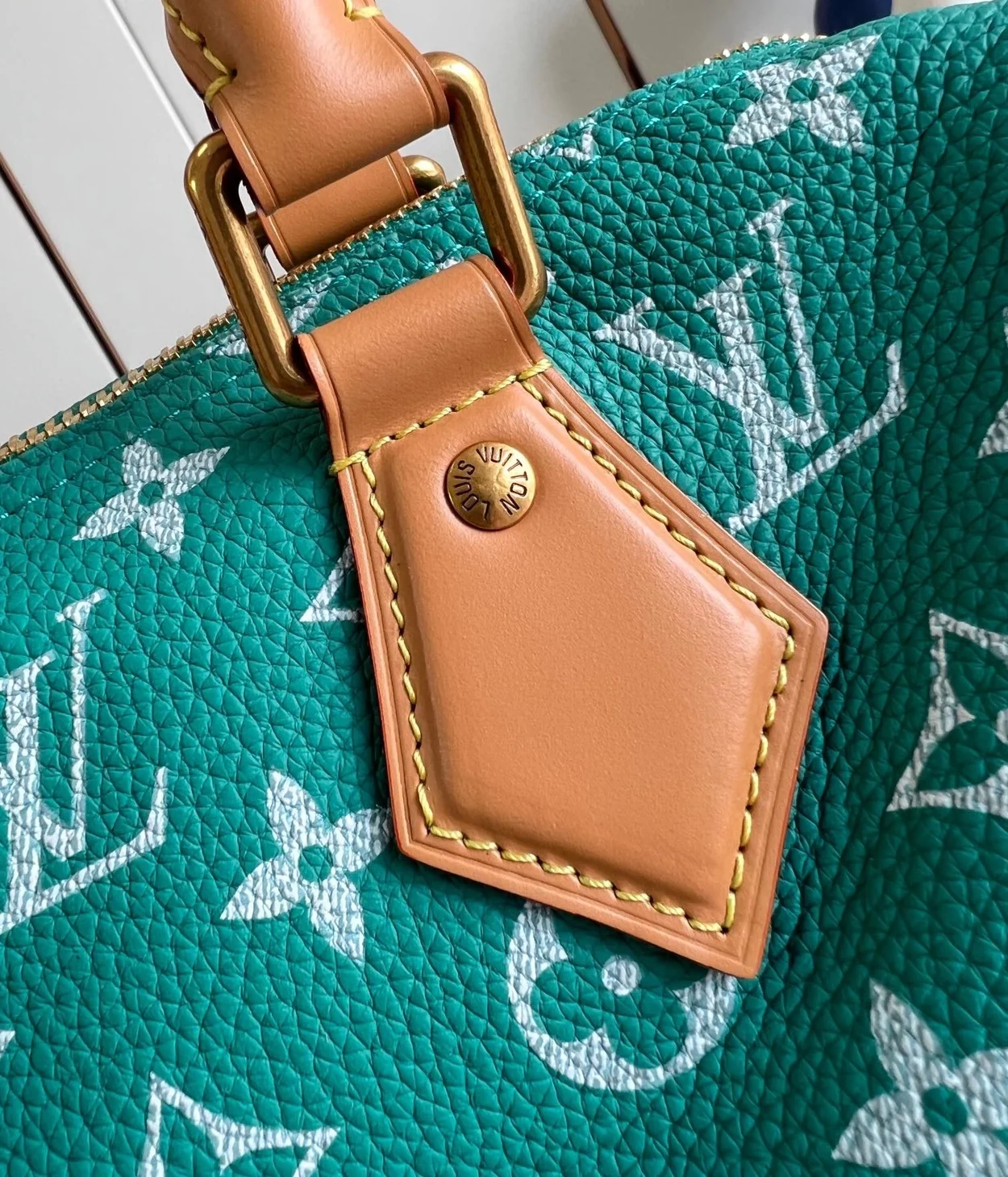 루이비통 런웨이 스피디 P9 반둘리에 25 M24423