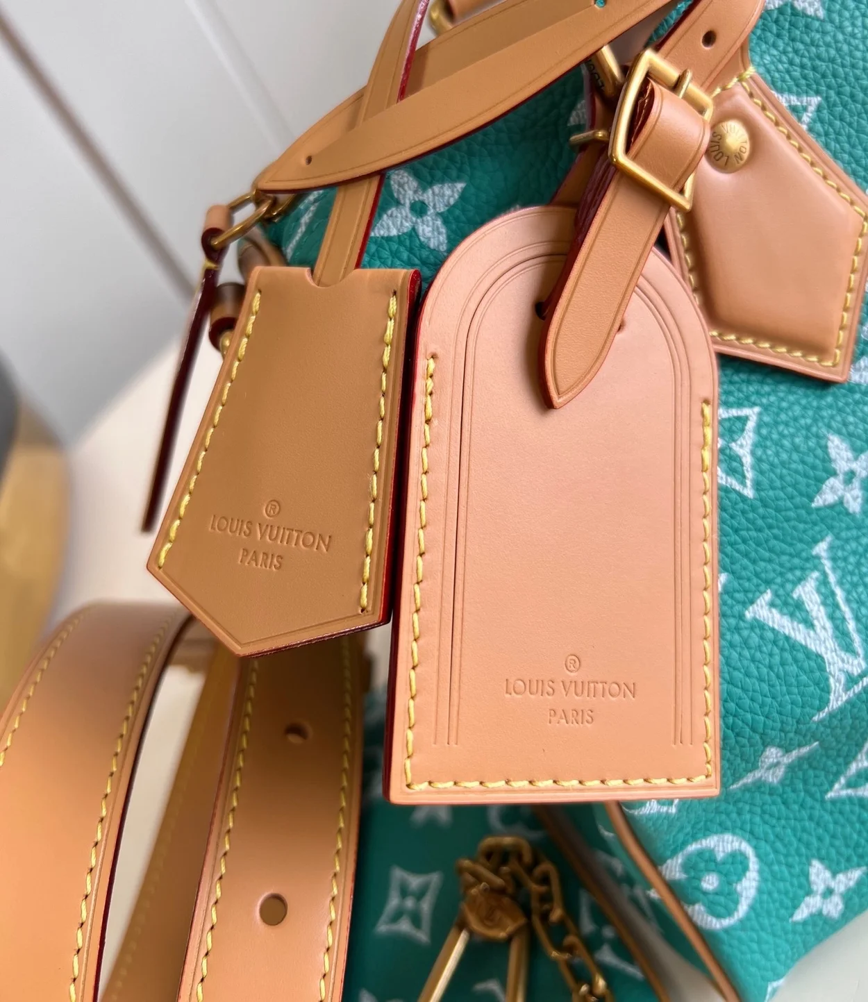 루이비통 런웨이 스피디 P9 반둘리에 25 M24423