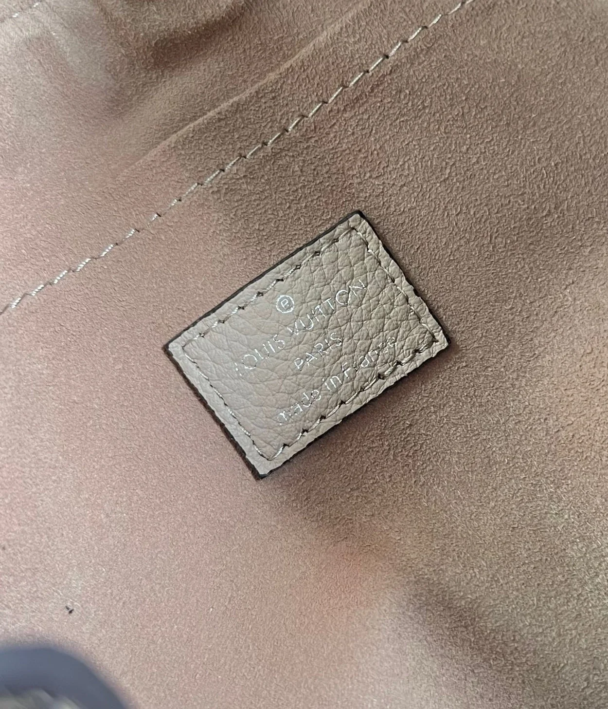 루이비통 핸드 잇 올 PM 마히나 백 M24255