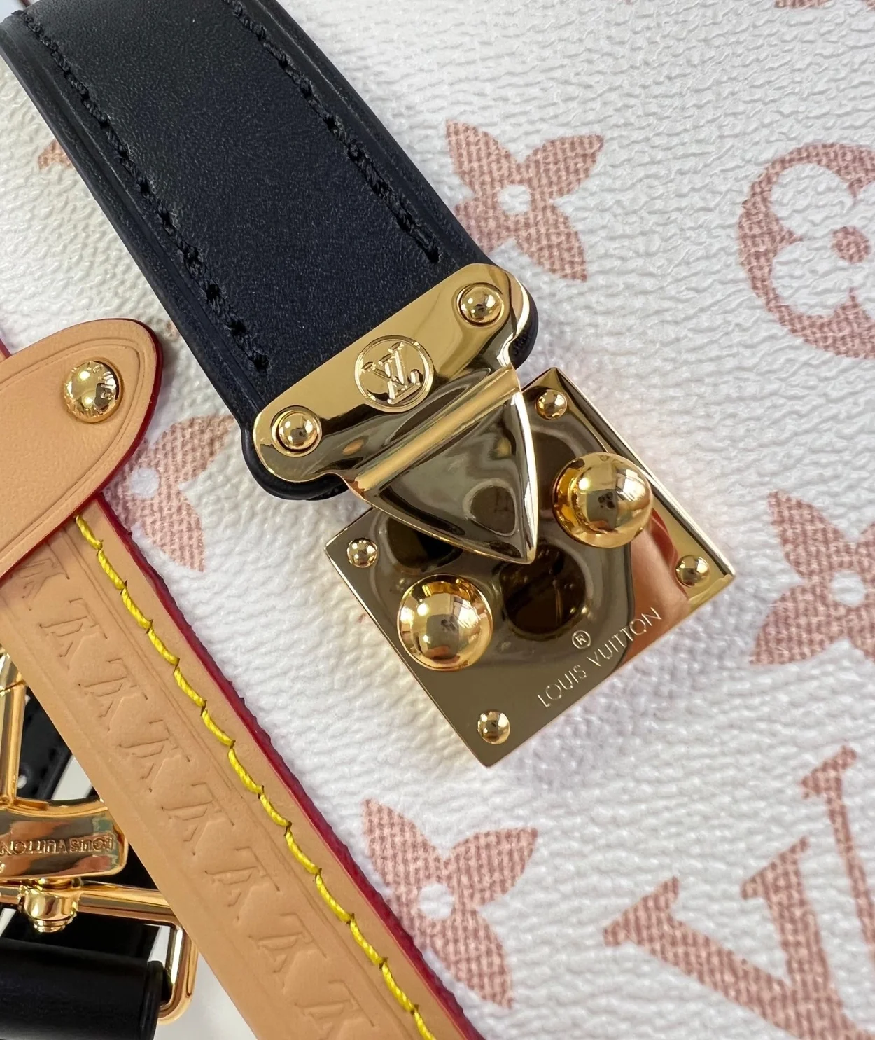 루이비통 사이드 트렁크 MM 백 M46907