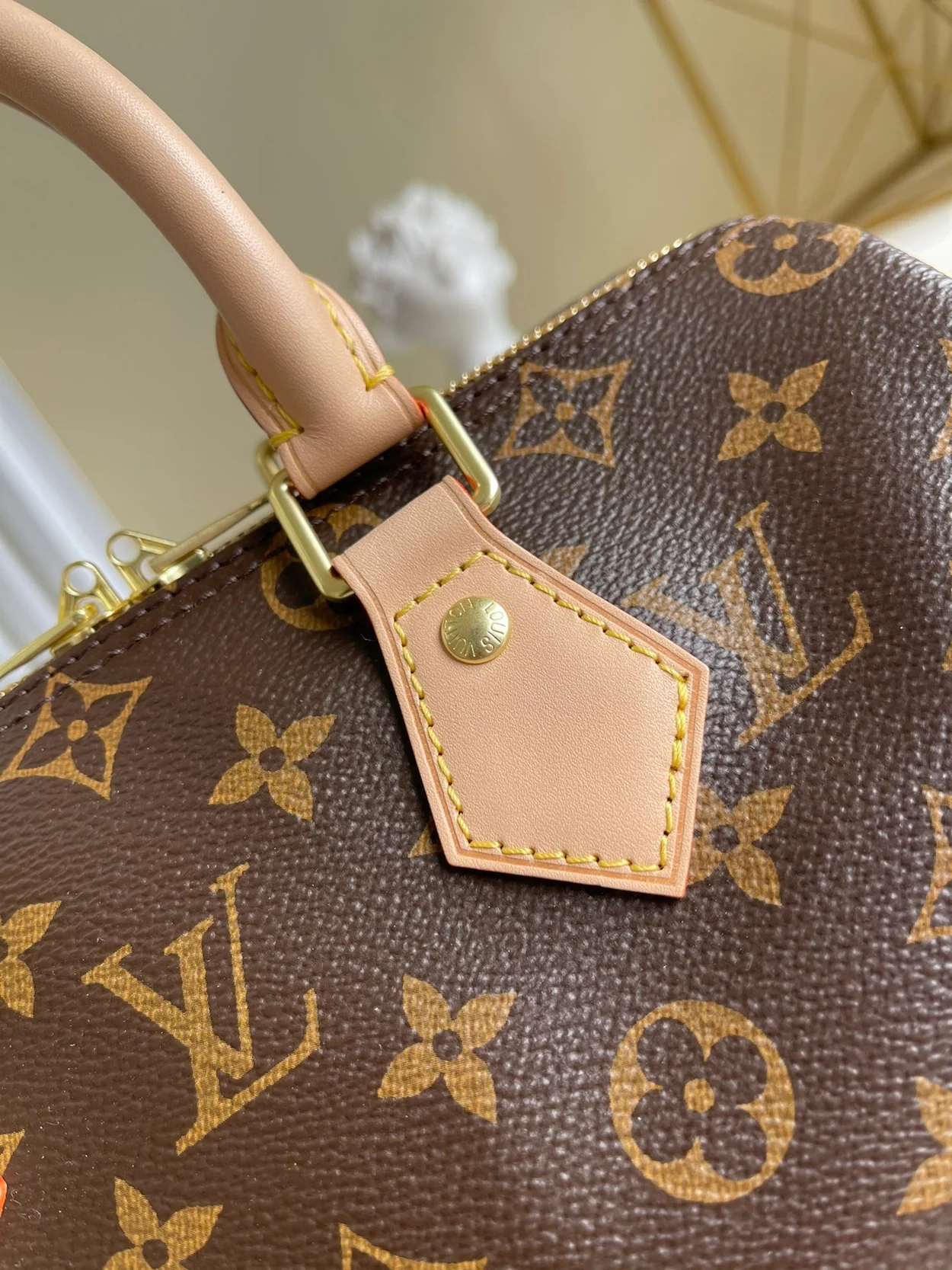 루이비통 스피디 반돌리에 25 M41113