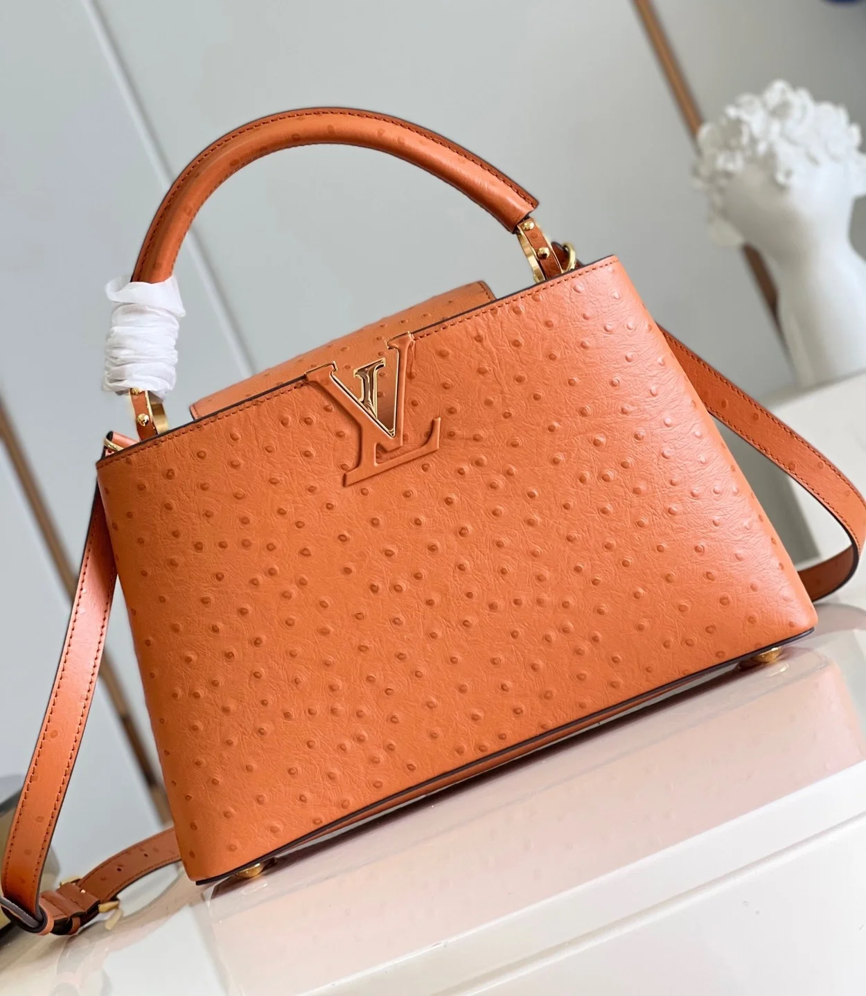 루이비통 타조 카퓌신 BB M93483